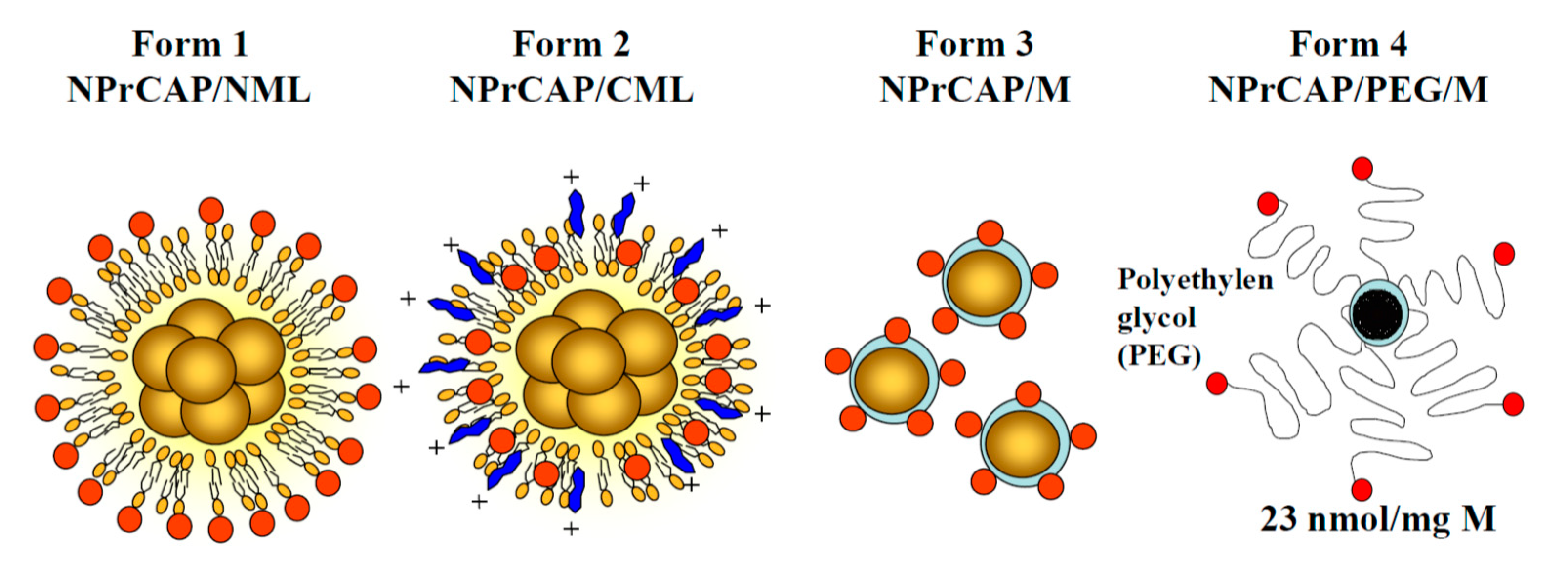 Ijms 21 06129 g008 Ijms 21 06129 g008