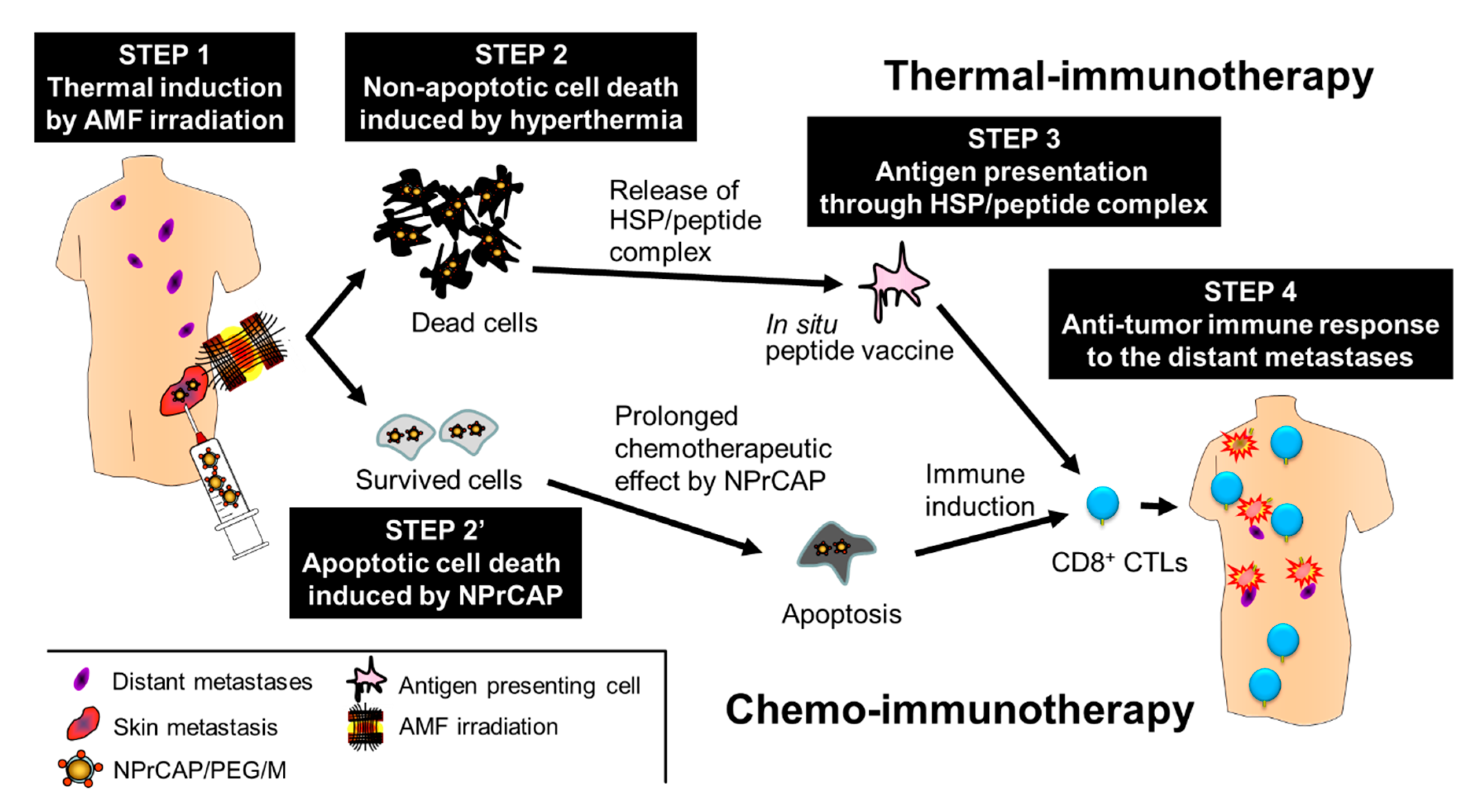 Ijms 21 06129 g010 Ijms 21 06129 g010