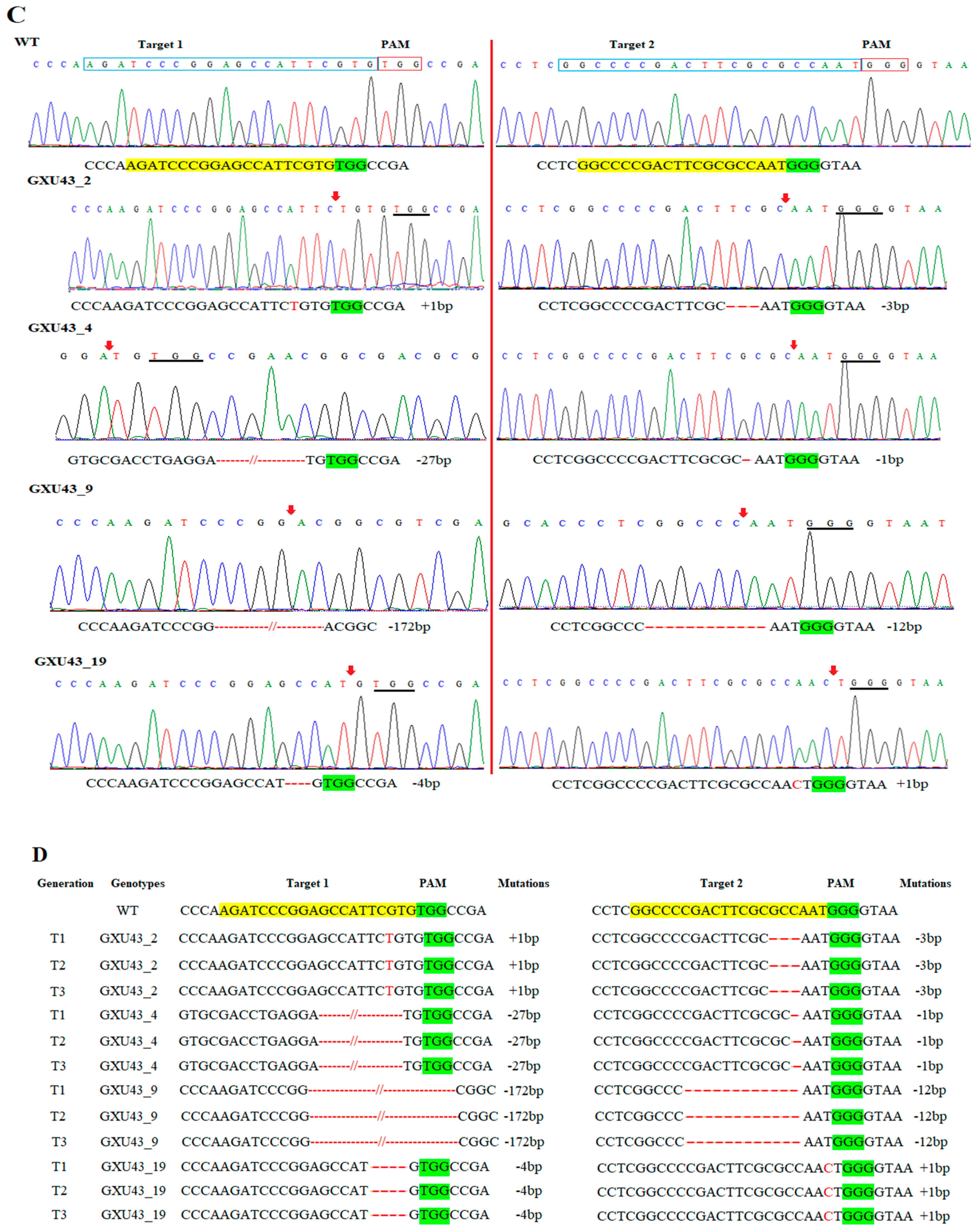 Ijms 21 06170 g001b Ijms 21 06170 g001b