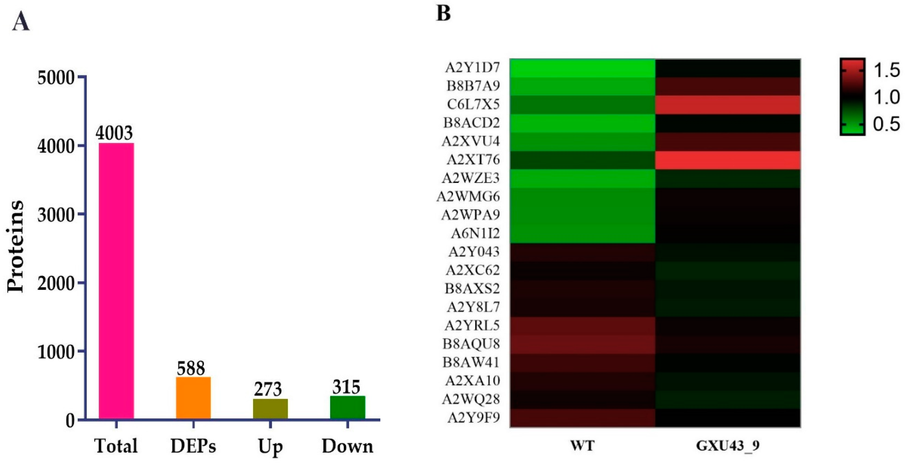 Ijms 21 06170 g005 Ijms 21 06170 g005