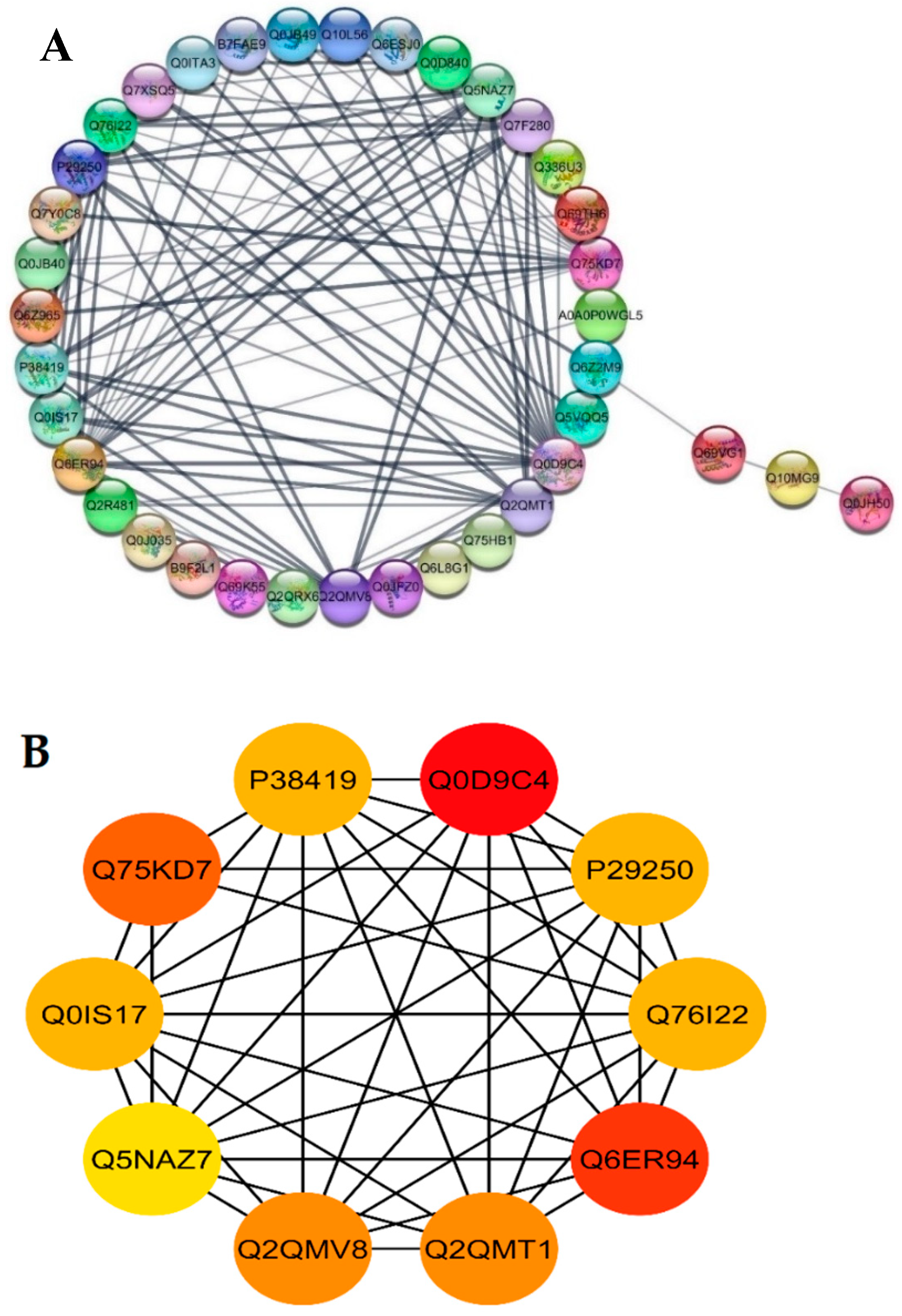 Ijms 21 06170 g006 Ijms 21 06170 g006