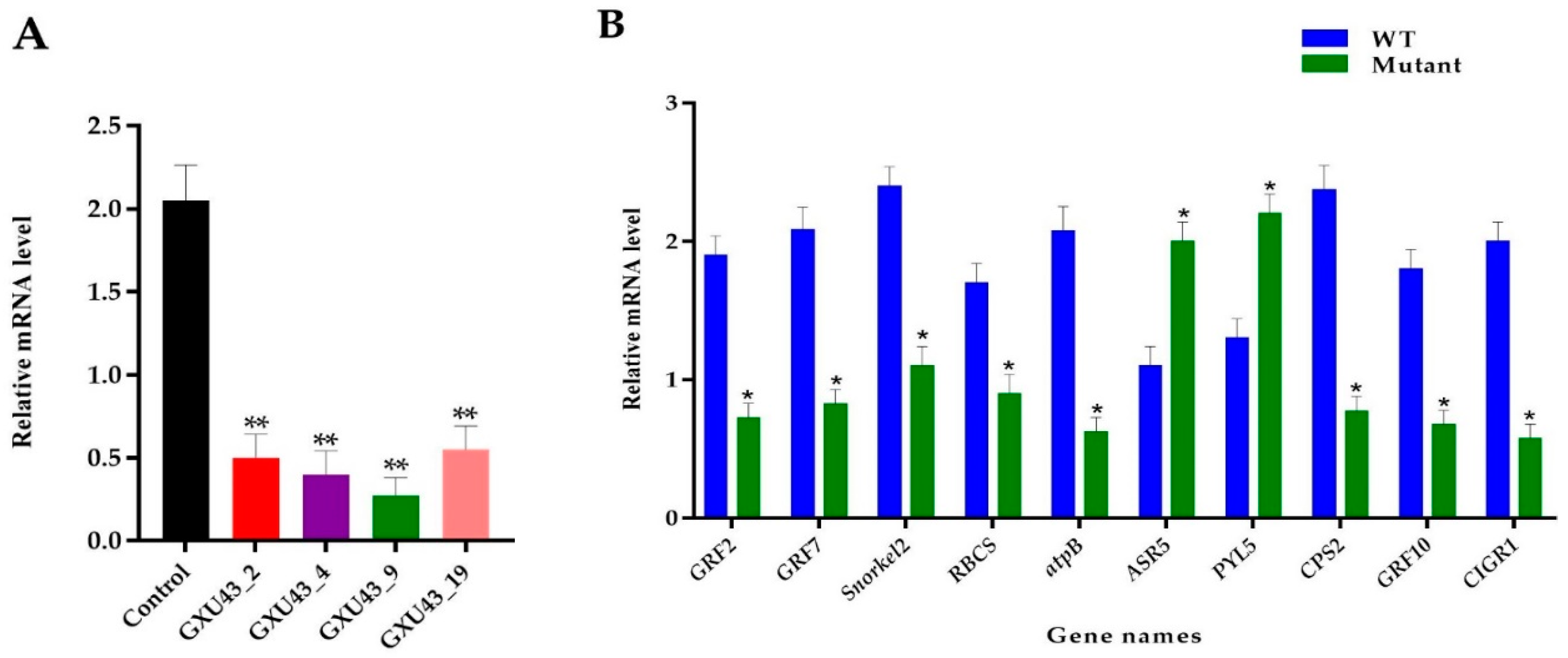 Ijms 21 06170 g008 Ijms 21 06170 g008