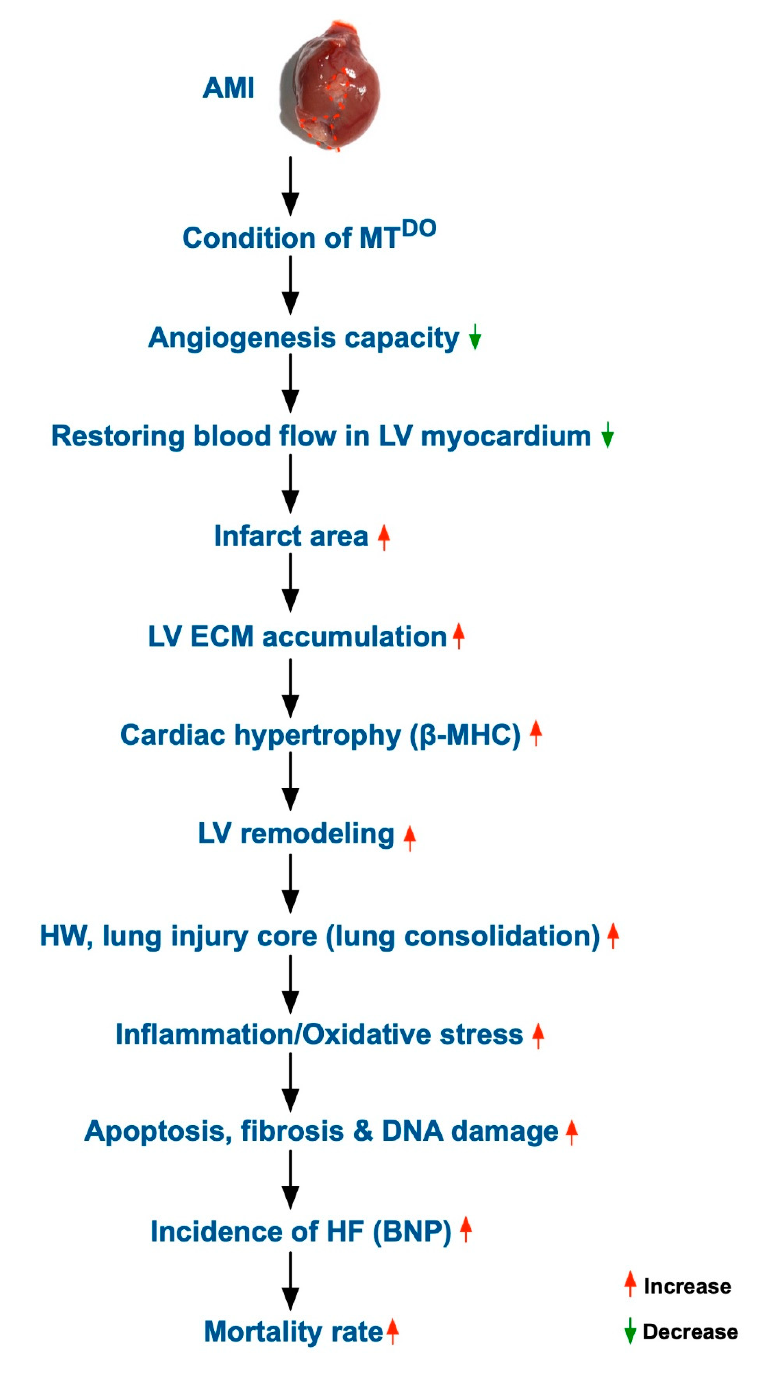 Ijms 21 06219 g009 Ijms 21 06219 g009