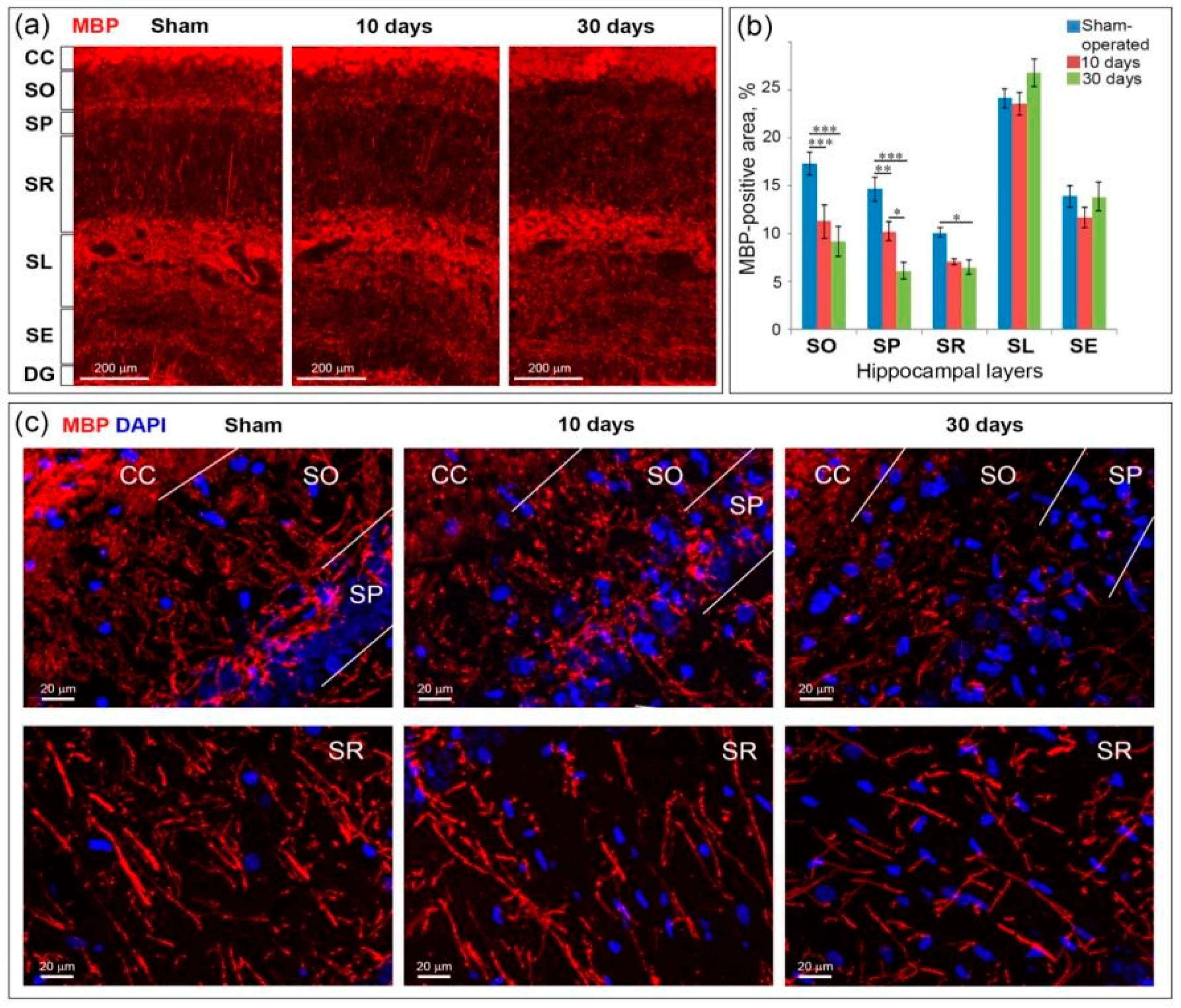 Ijms 21 06246 g004 Ijms 21 06246 g004