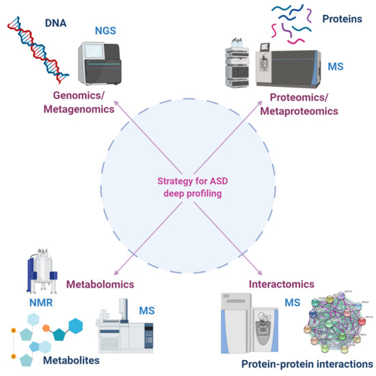 Ijms Free Full Text Proteomics And Metabolomics Approaches Towards A Functional Insight Onto Autism Spectrum Disorders Phenotype Stratification And Biomarker Discovery Html