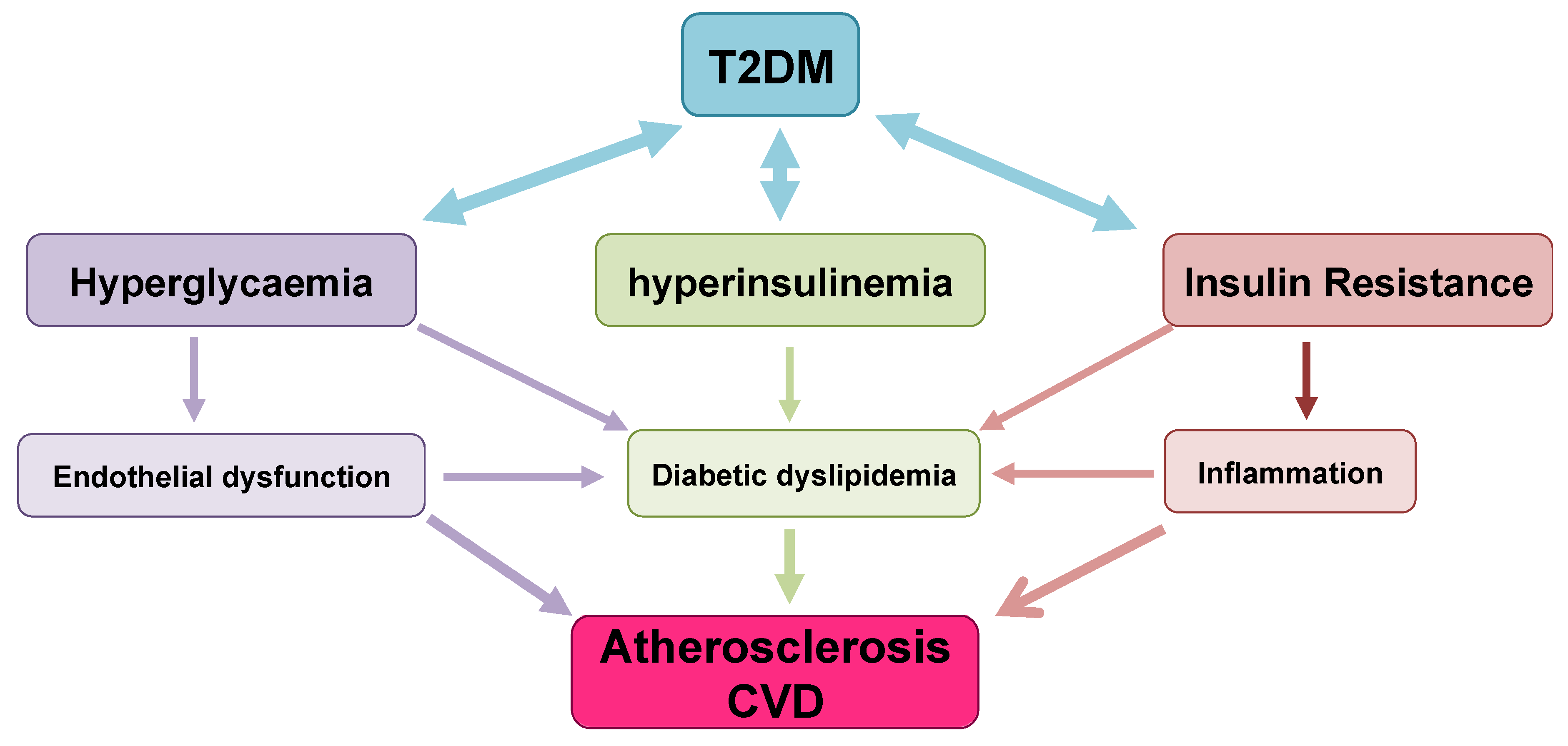 type 2 diabetes pathophysiology diagram