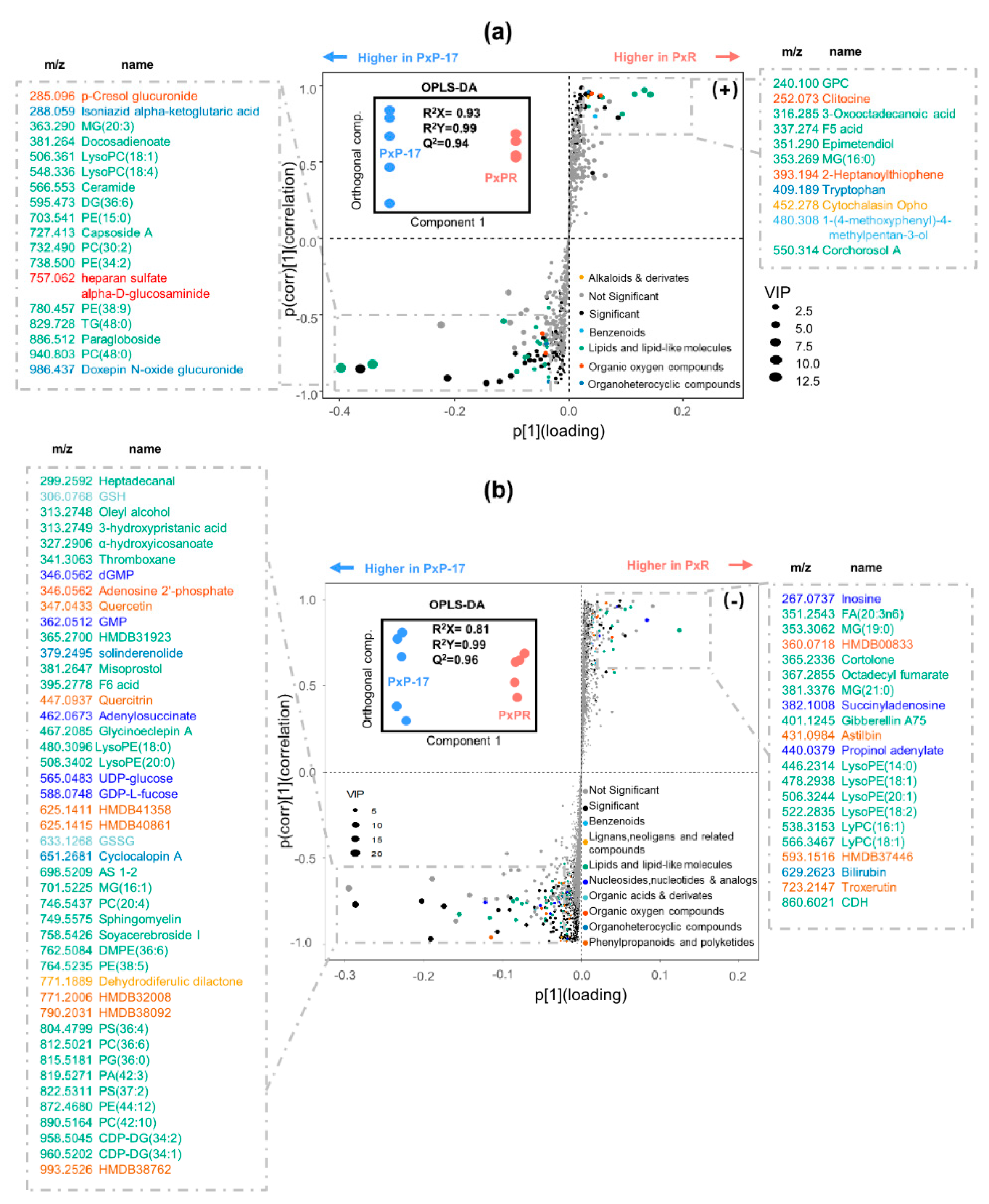 Ijms 21 06283 g005 Ijms 21 06283 g005