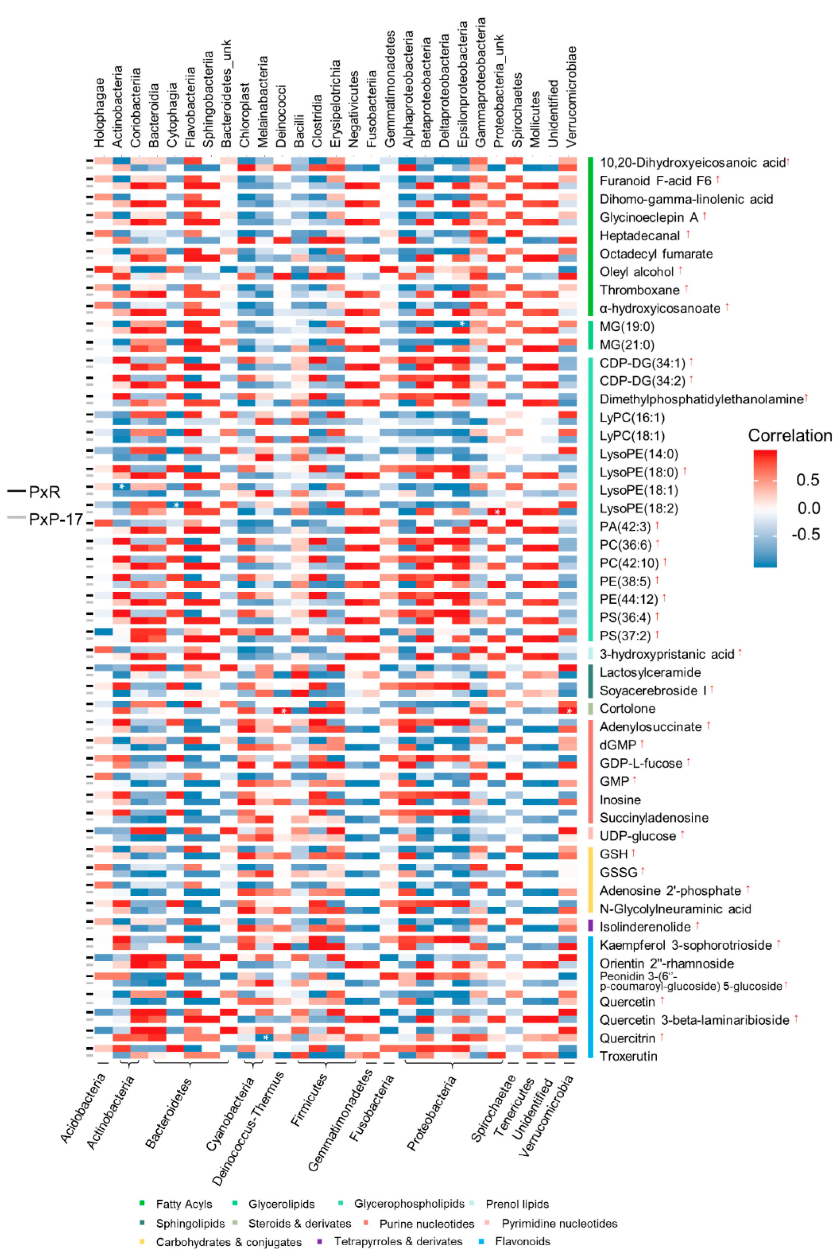 Ijms 21 06283 g006 Ijms 21 06283 g006