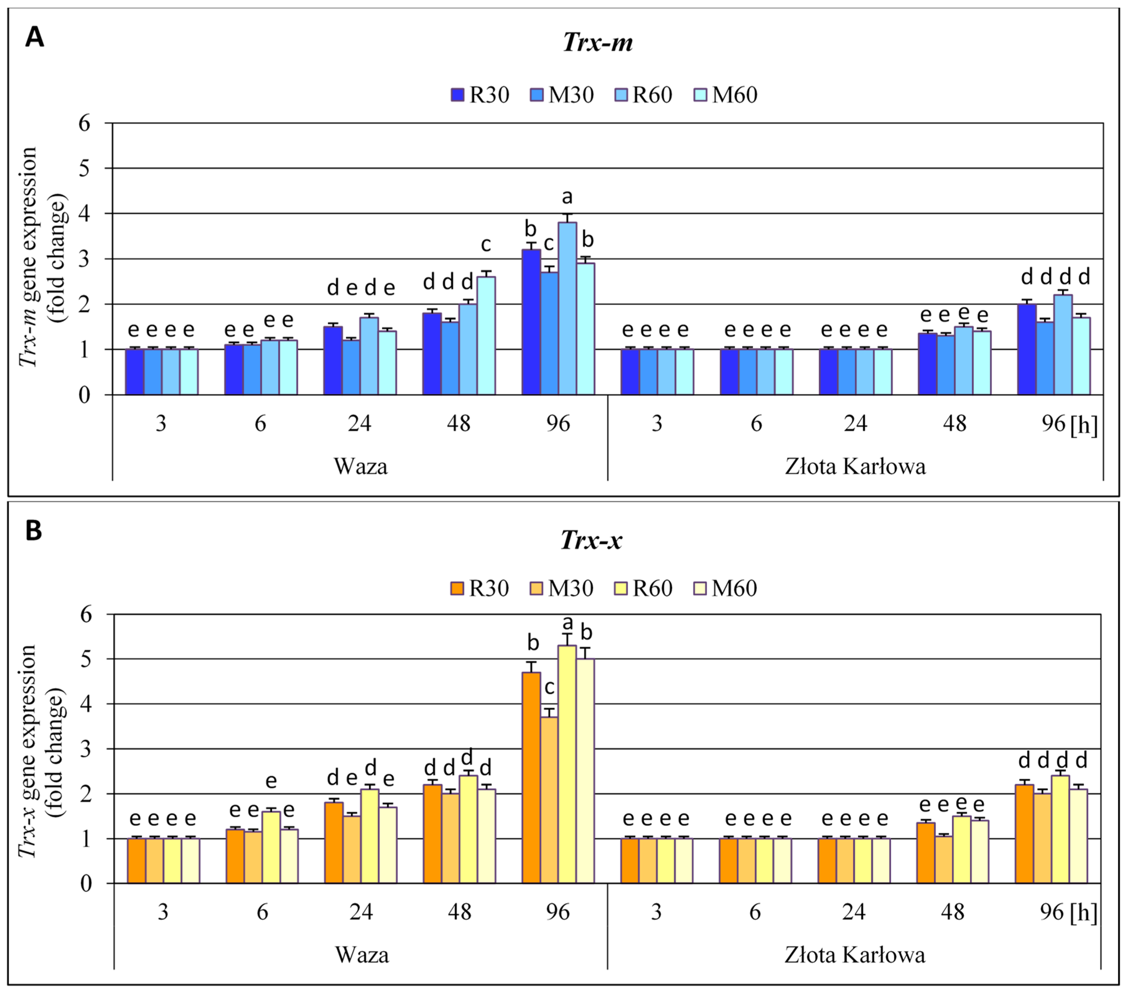 Ijms 21 06296 g001 Ijms 21 06296 g001