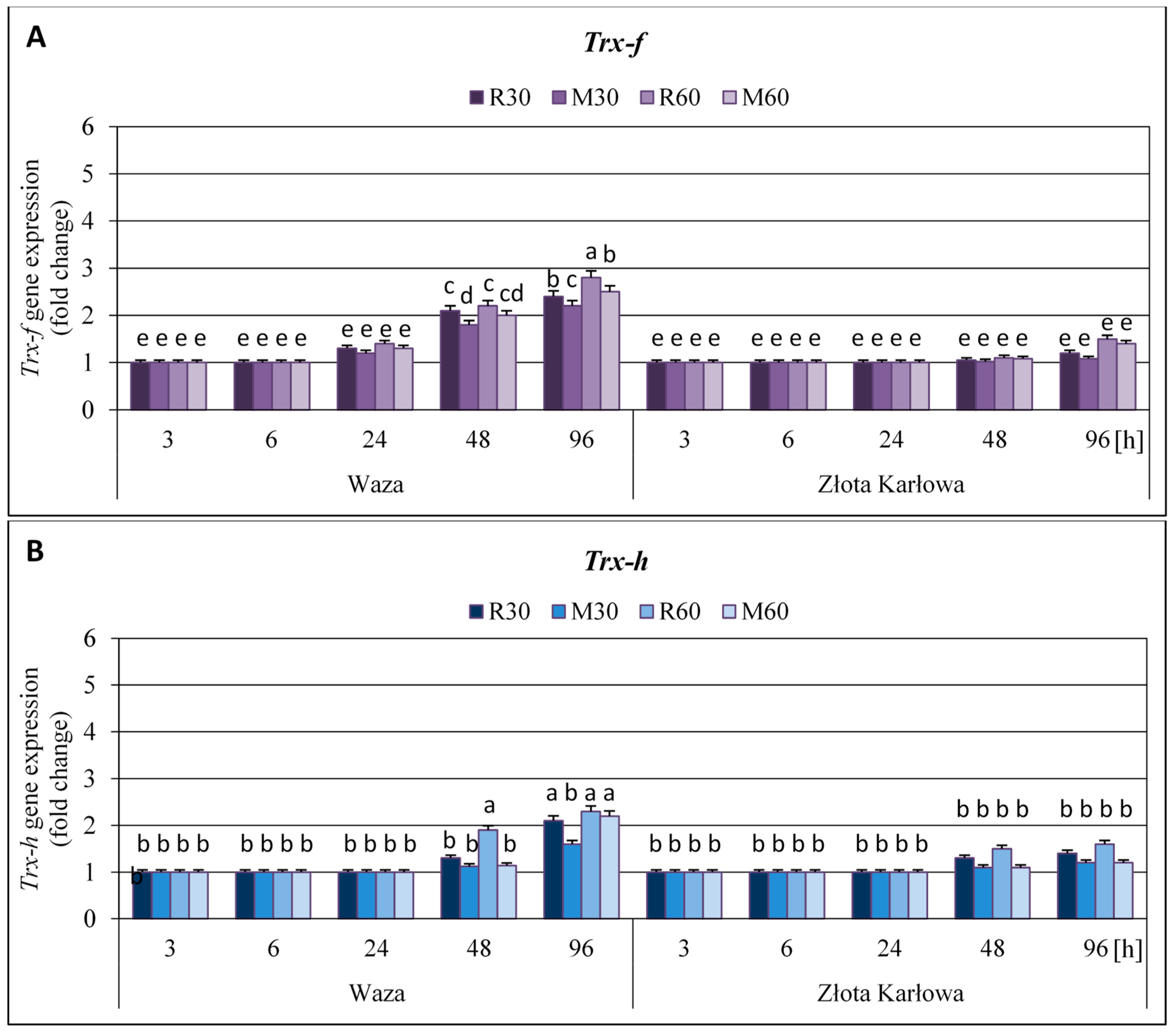 Ijms 21 06296 g002 Ijms 21 06296 g002