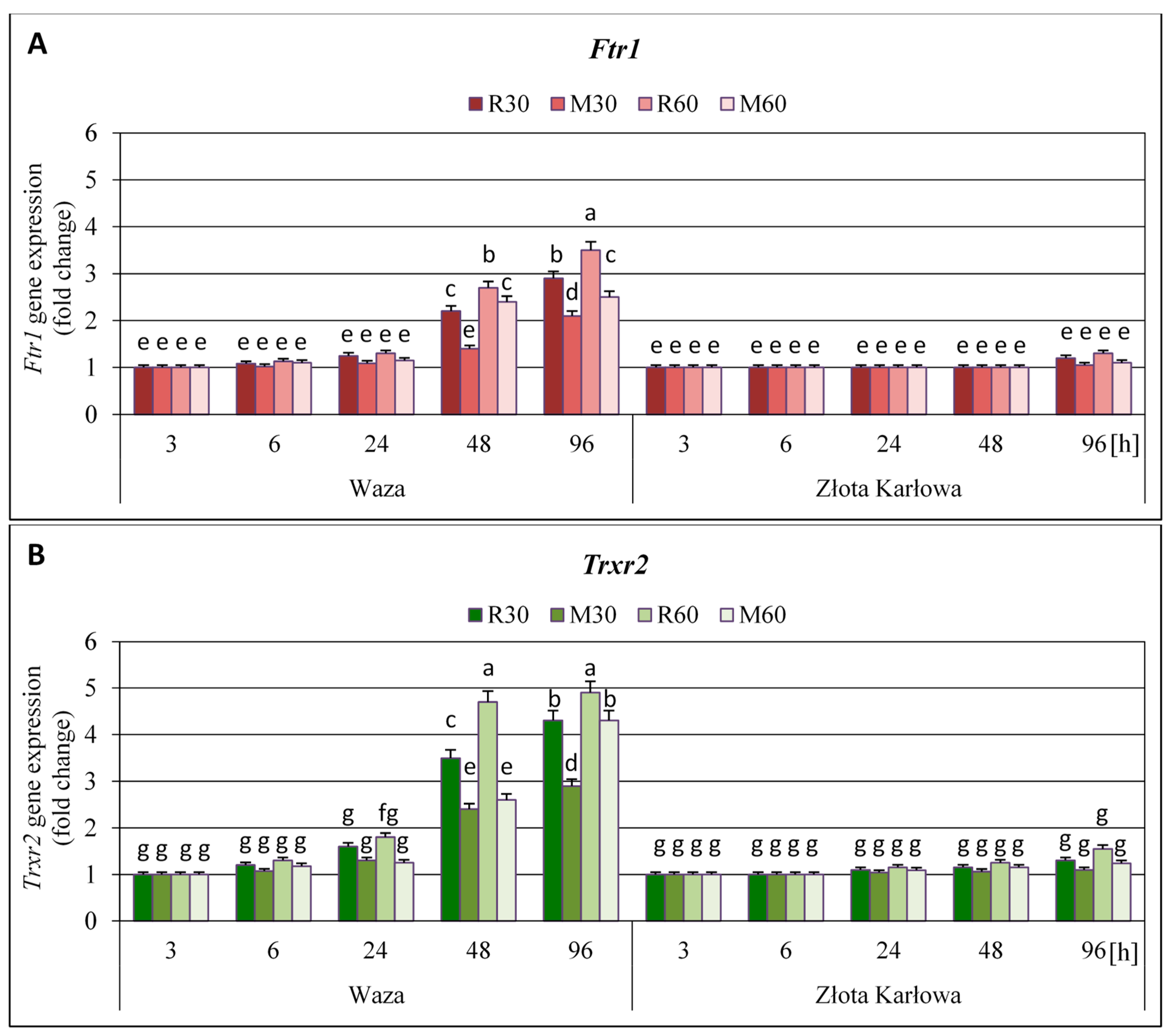 Ijms 21 06296 g003 Ijms 21 06296 g003