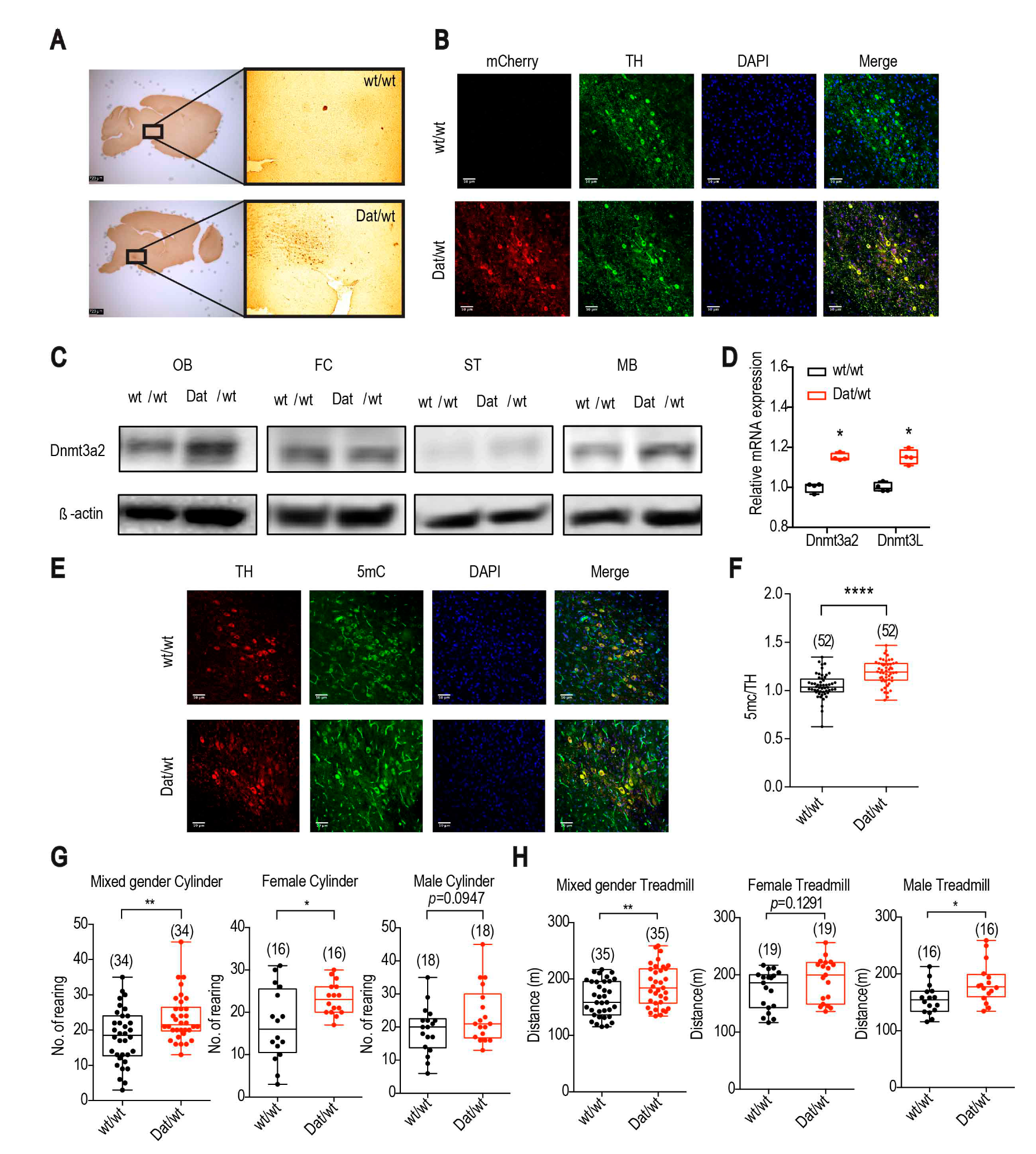 Ijms 21 06297 g001 Ijms 21 06297 g001