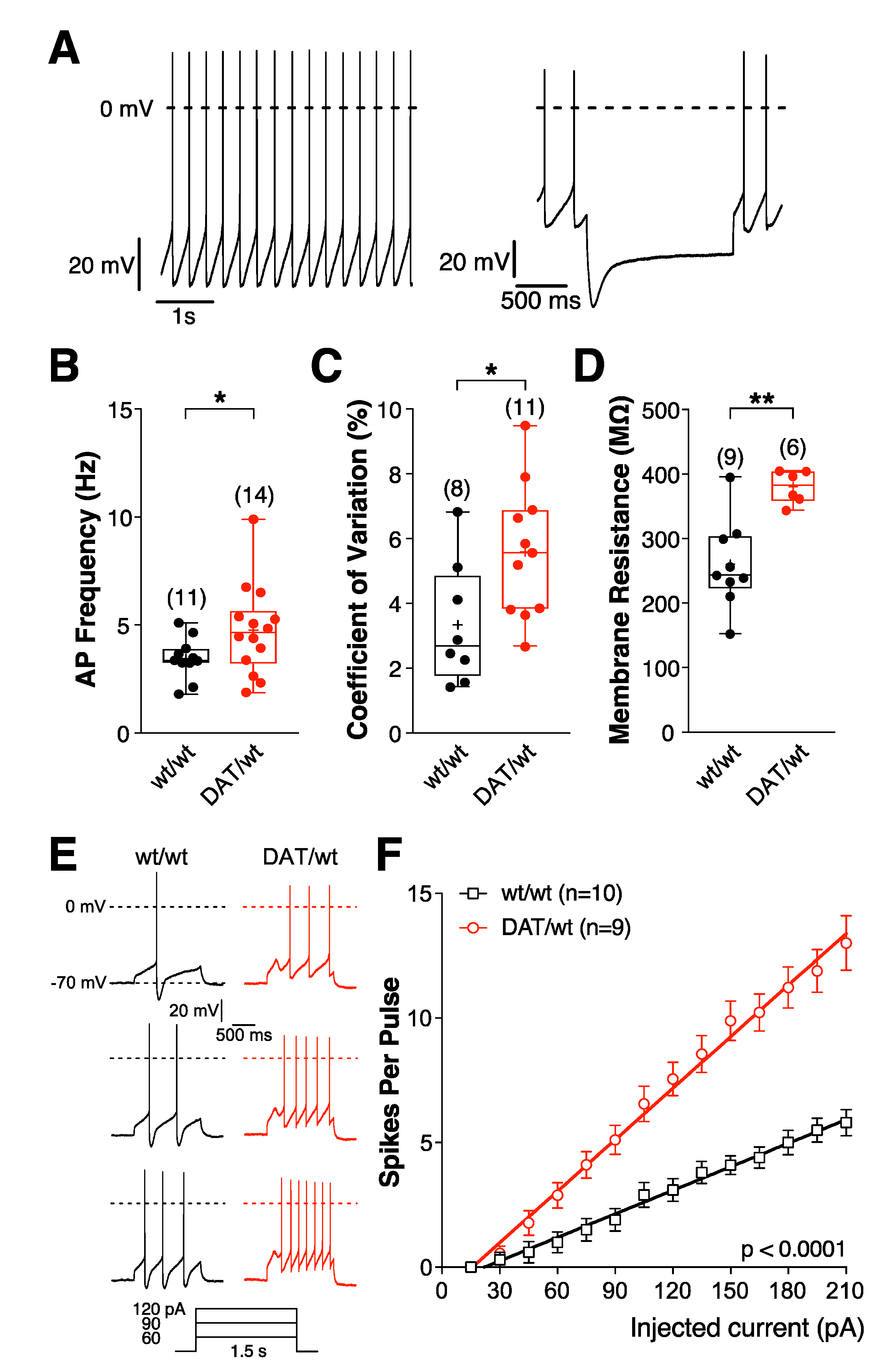 Ijms 21 06297 g002 Ijms 21 06297 g002