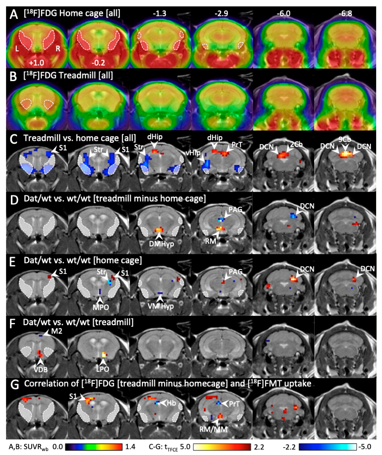Ijms 21 06297 g005 Ijms 21 06297 g005