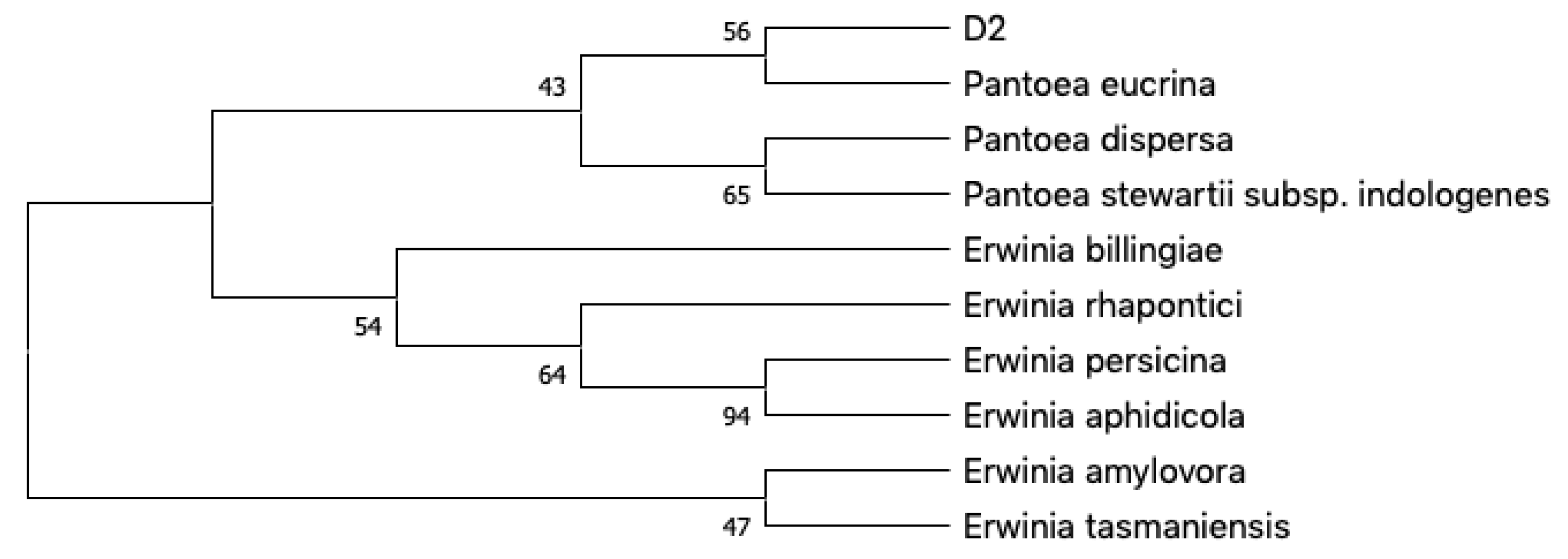 Ijms 21 06307 g001 Ijms 21 06307 g001