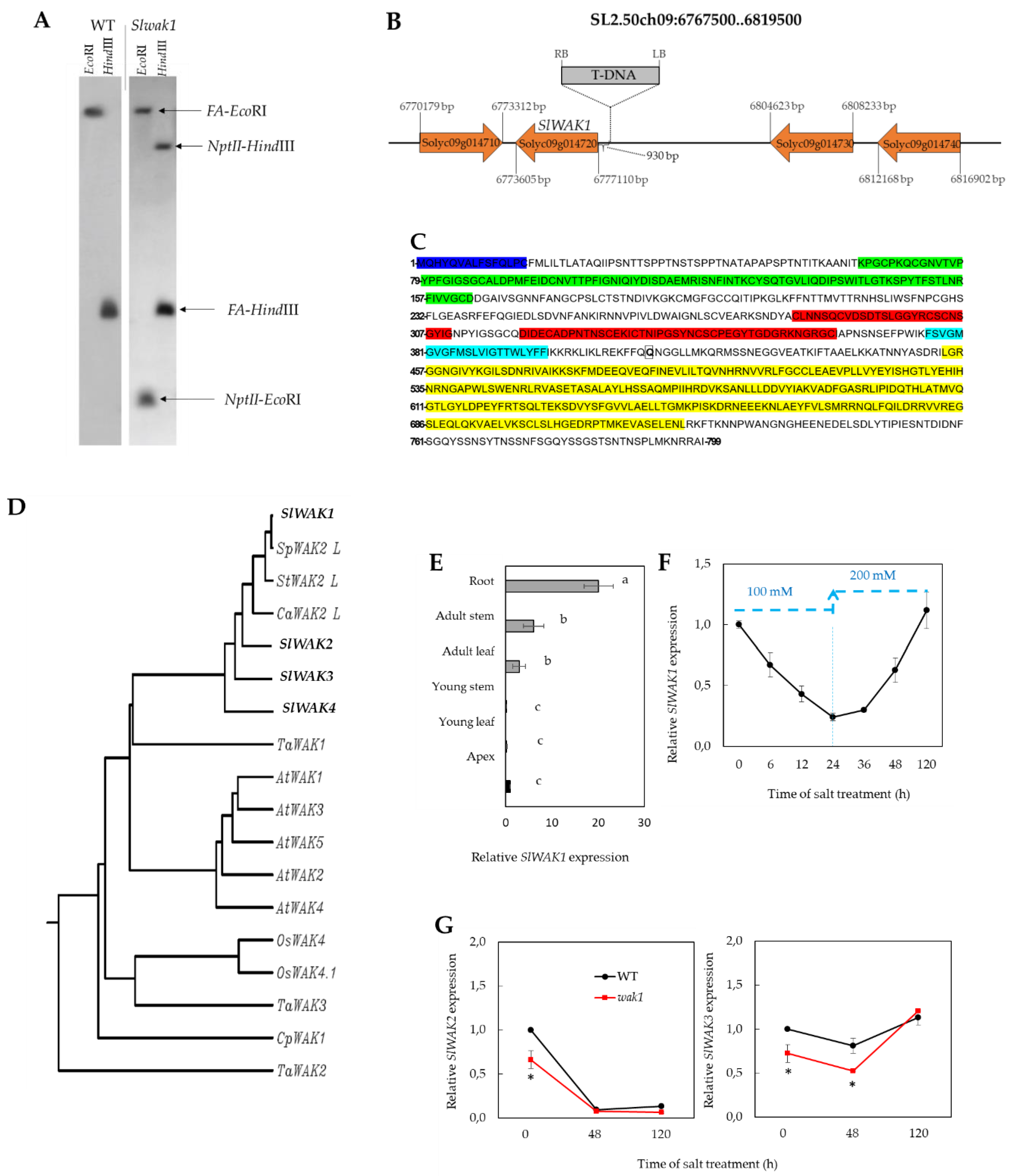 Ijms 21 06308 g001 Ijms 21 06308 g001
