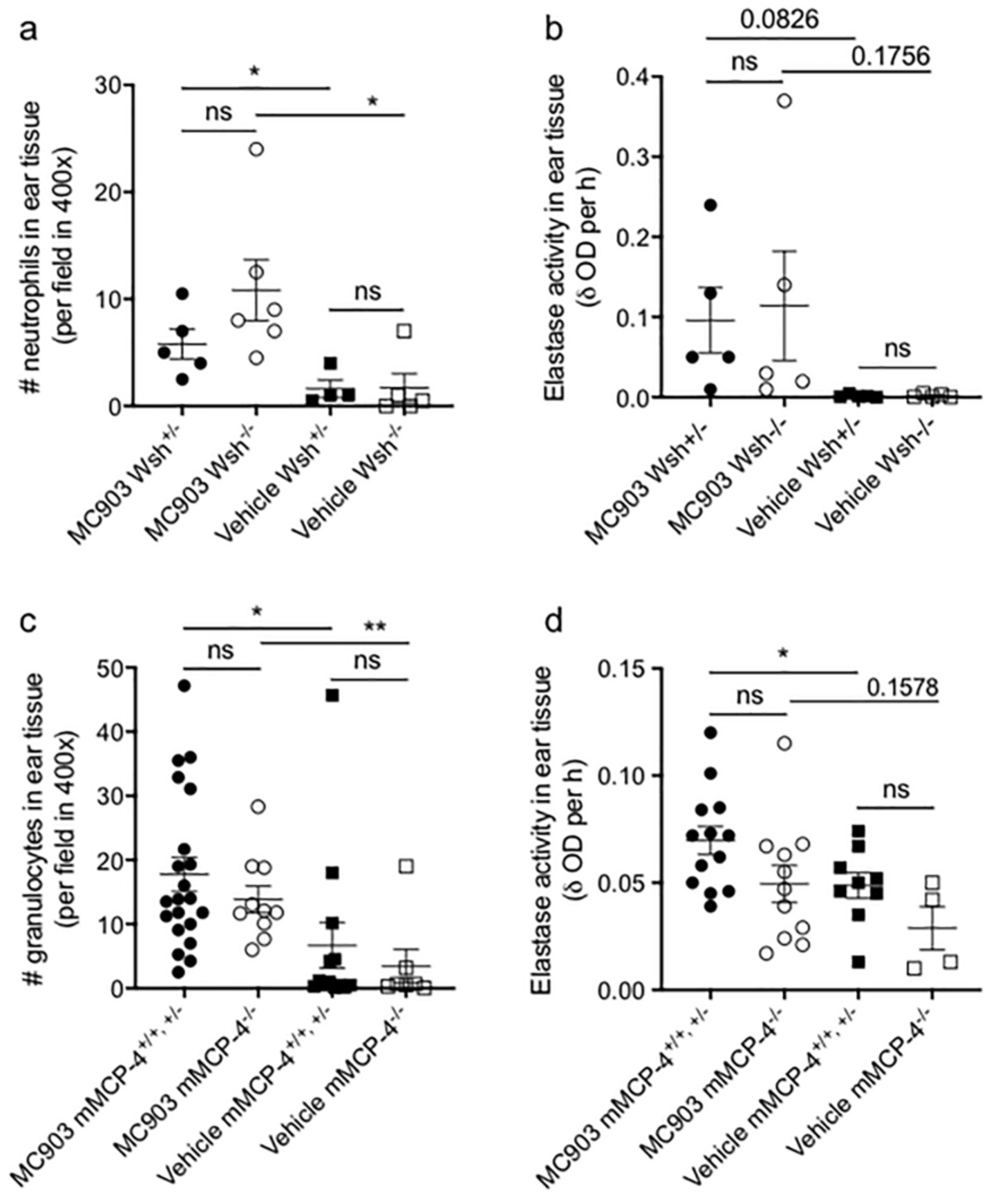 Ijms 21 06311 g003 Ijms 21 06311 g003