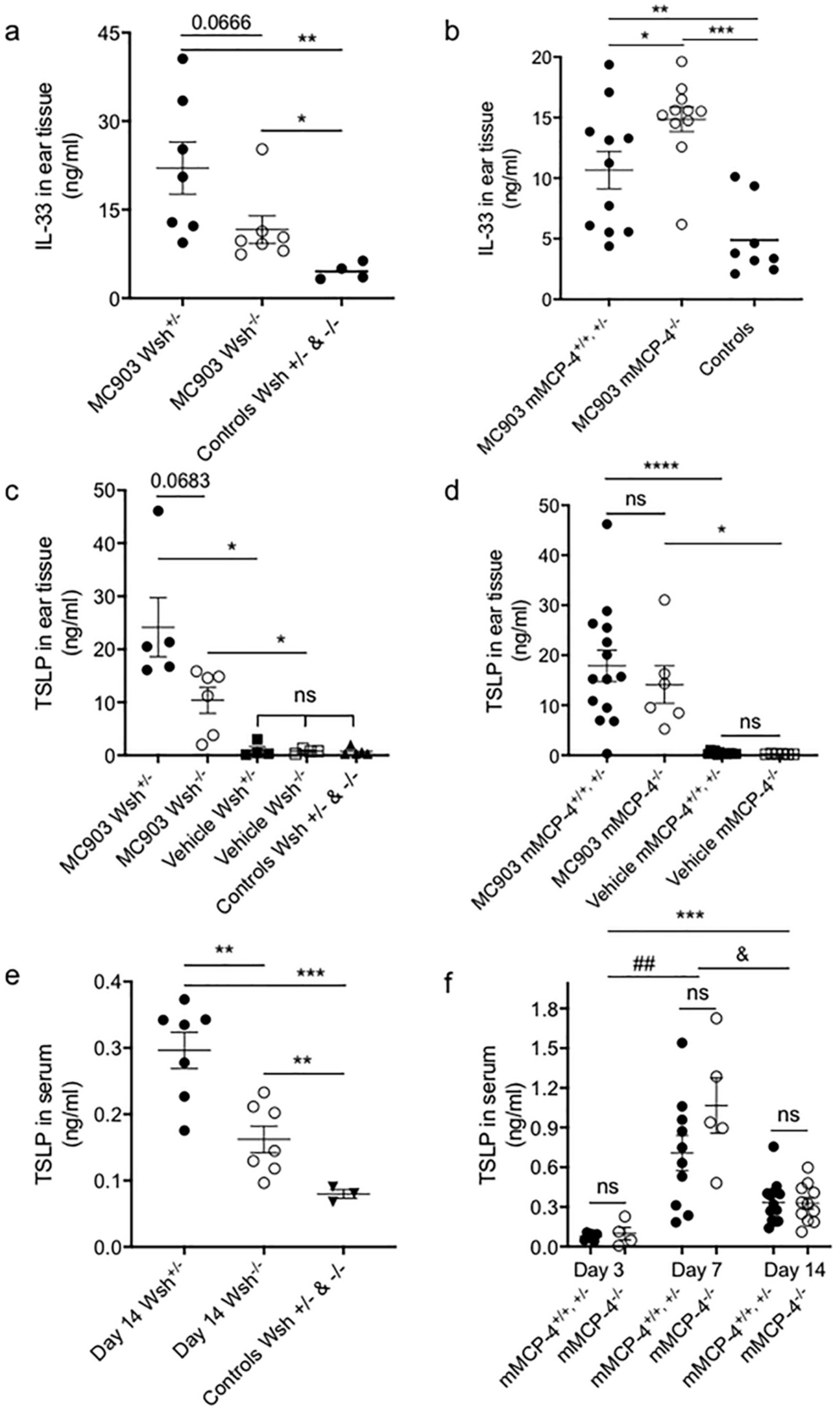 Ijms 21 06311 g004 Ijms 21 06311 g004