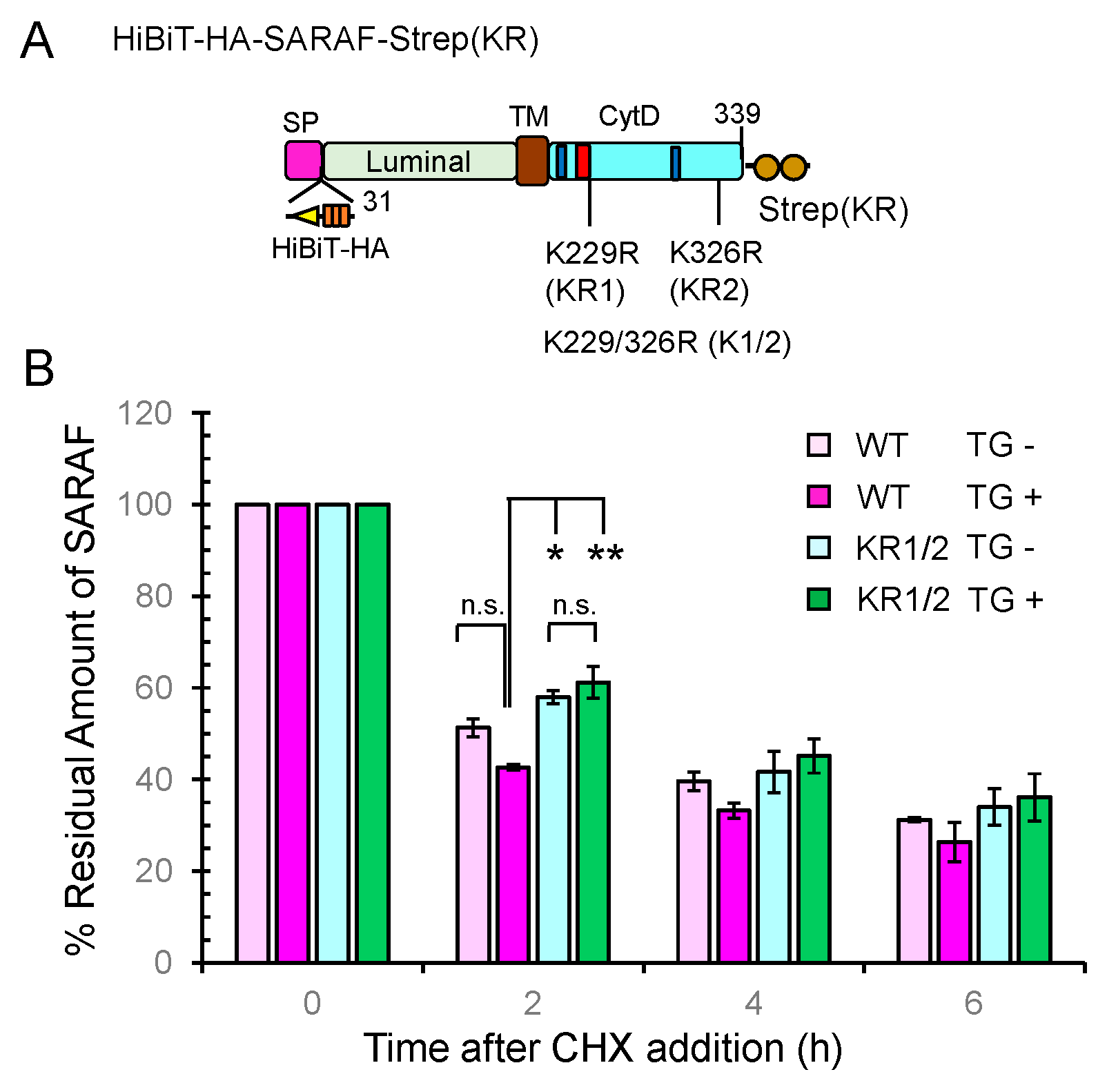 Ijms 21 06315 g008 Ijms 21 06315 g008