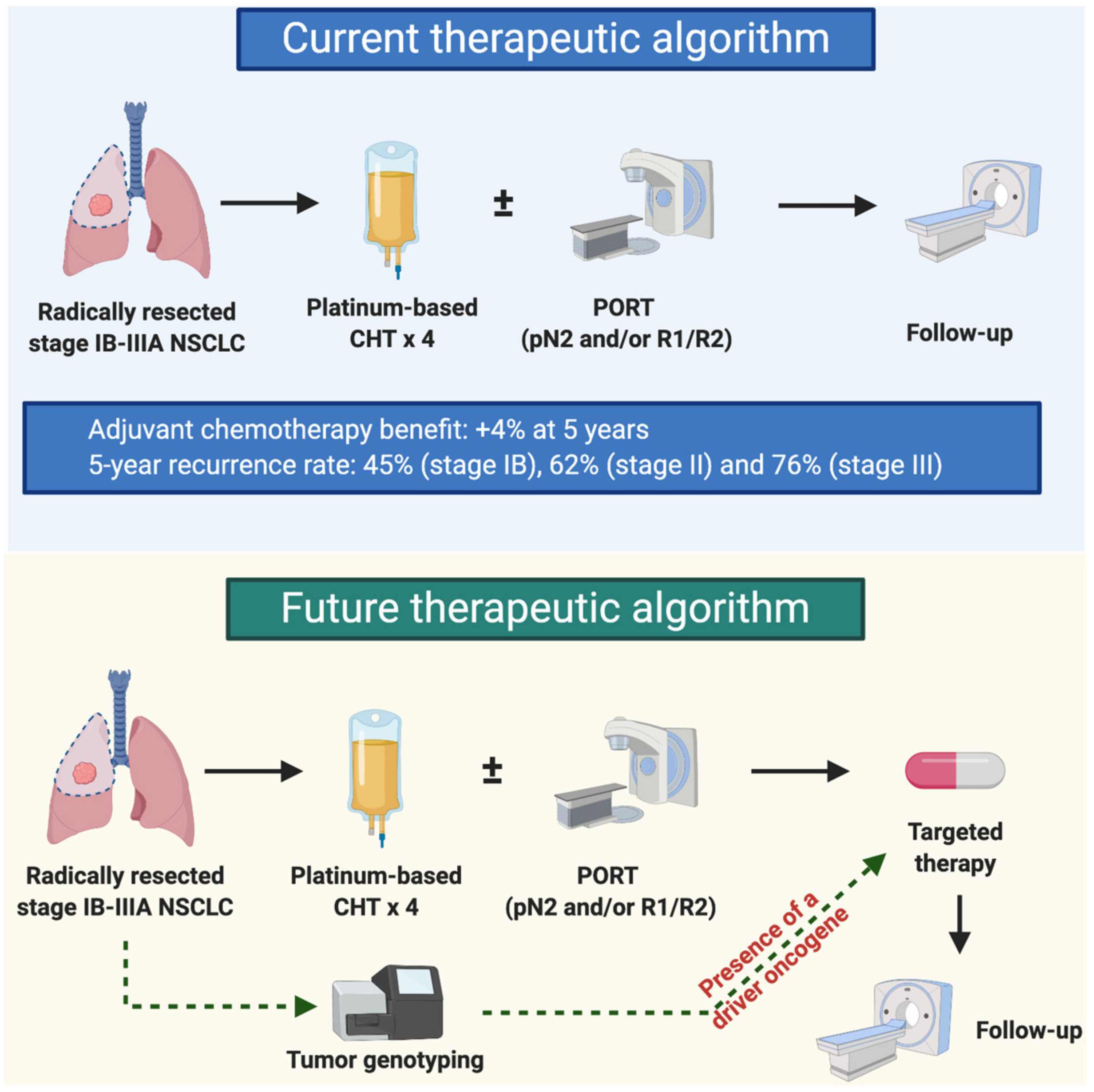 IJMS Free Full Text Targeted Therapies In Early Stage NSCLC Hype Or Hope