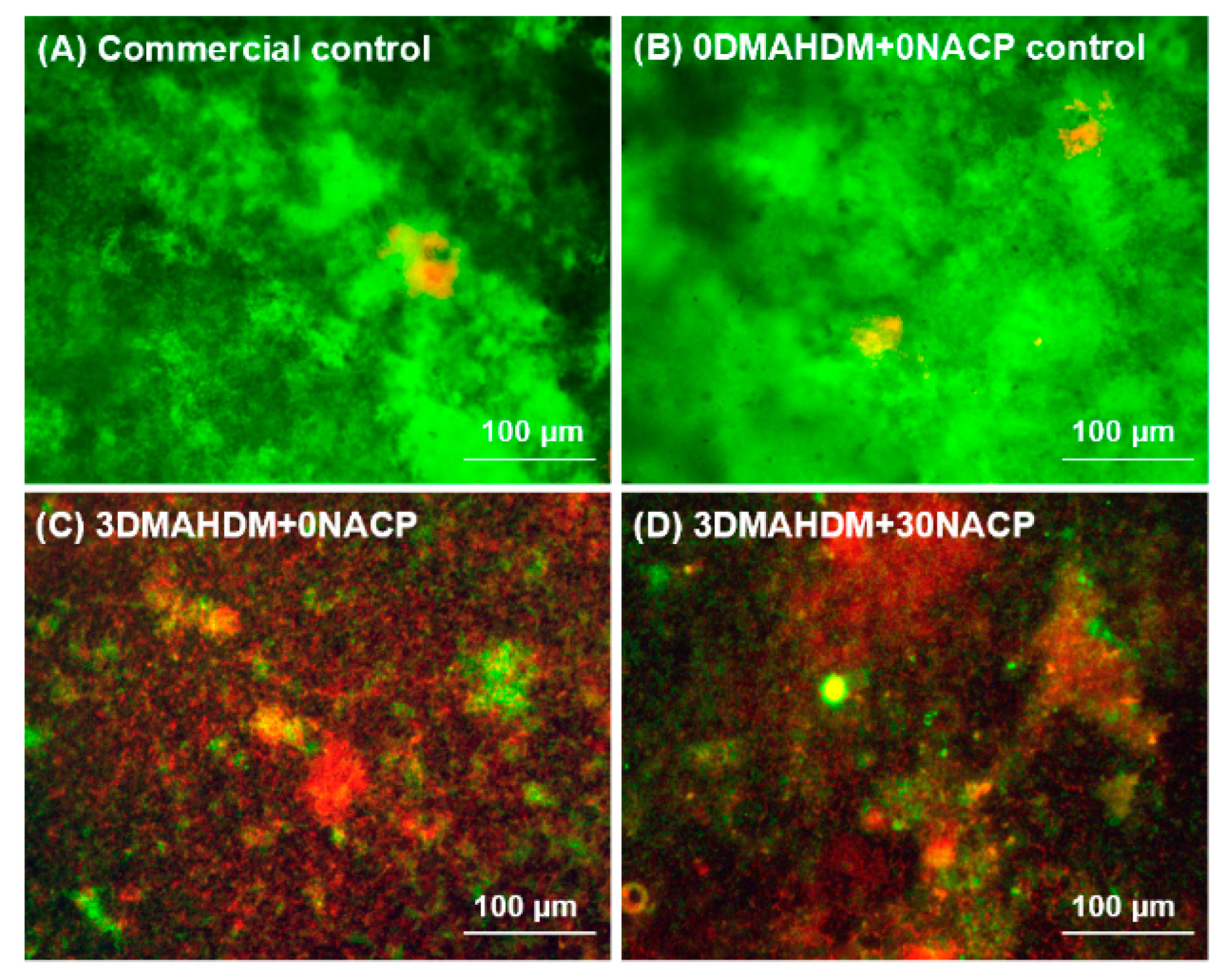 Ijms 21 06369 g002 Ijms 21 06369 g002
