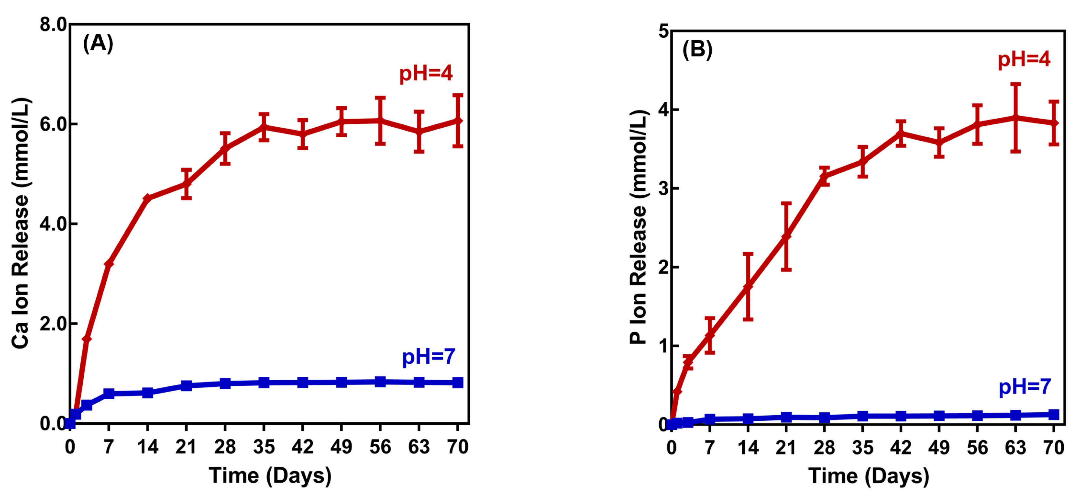 Ijms 21 06369 g005 Ijms 21 06369 g005