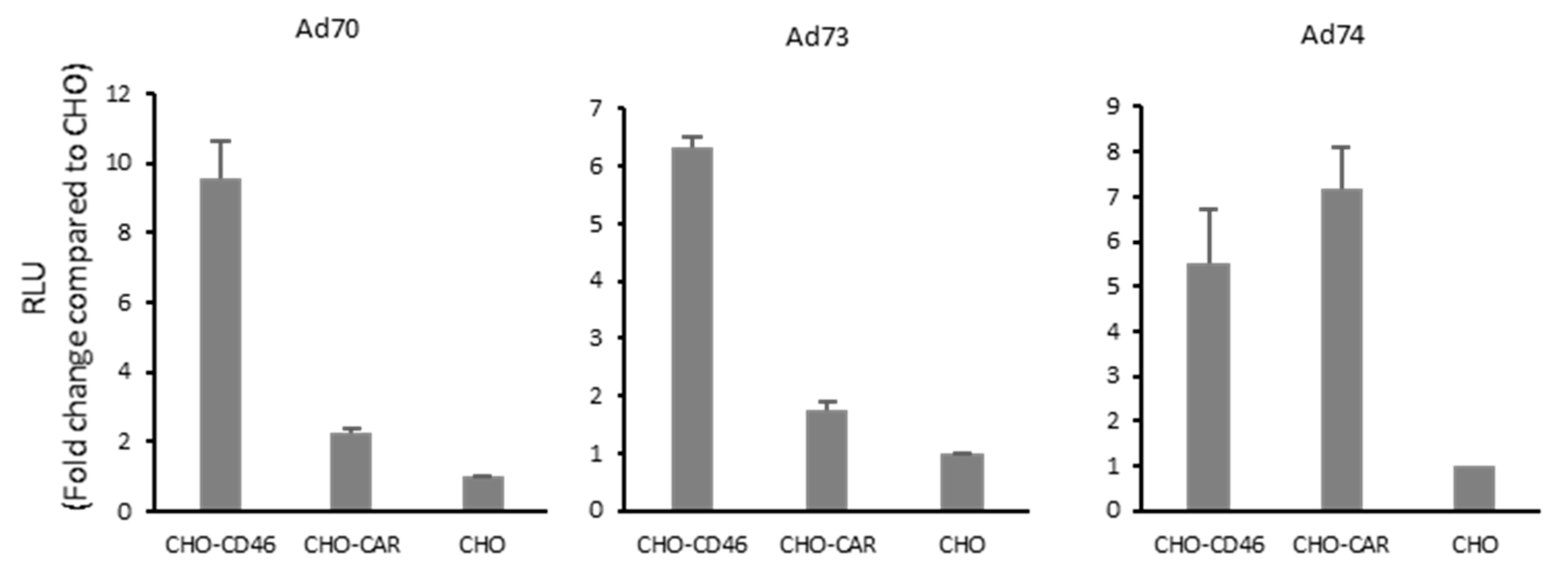 Ijms 21 06370 g006 Ijms 21 06370 g006