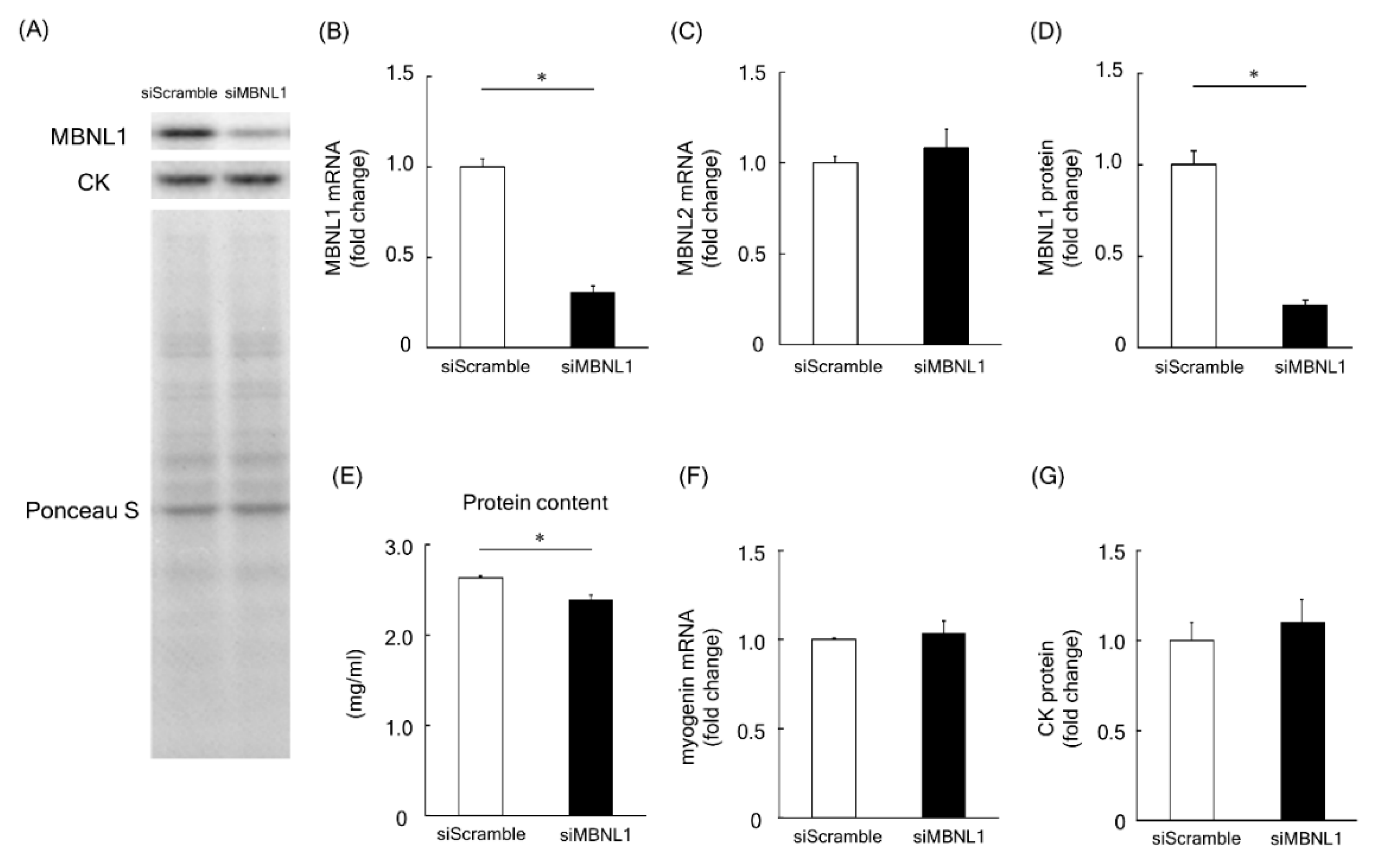 Ijms 21 06376 g001 Ijms 21 06376 g001