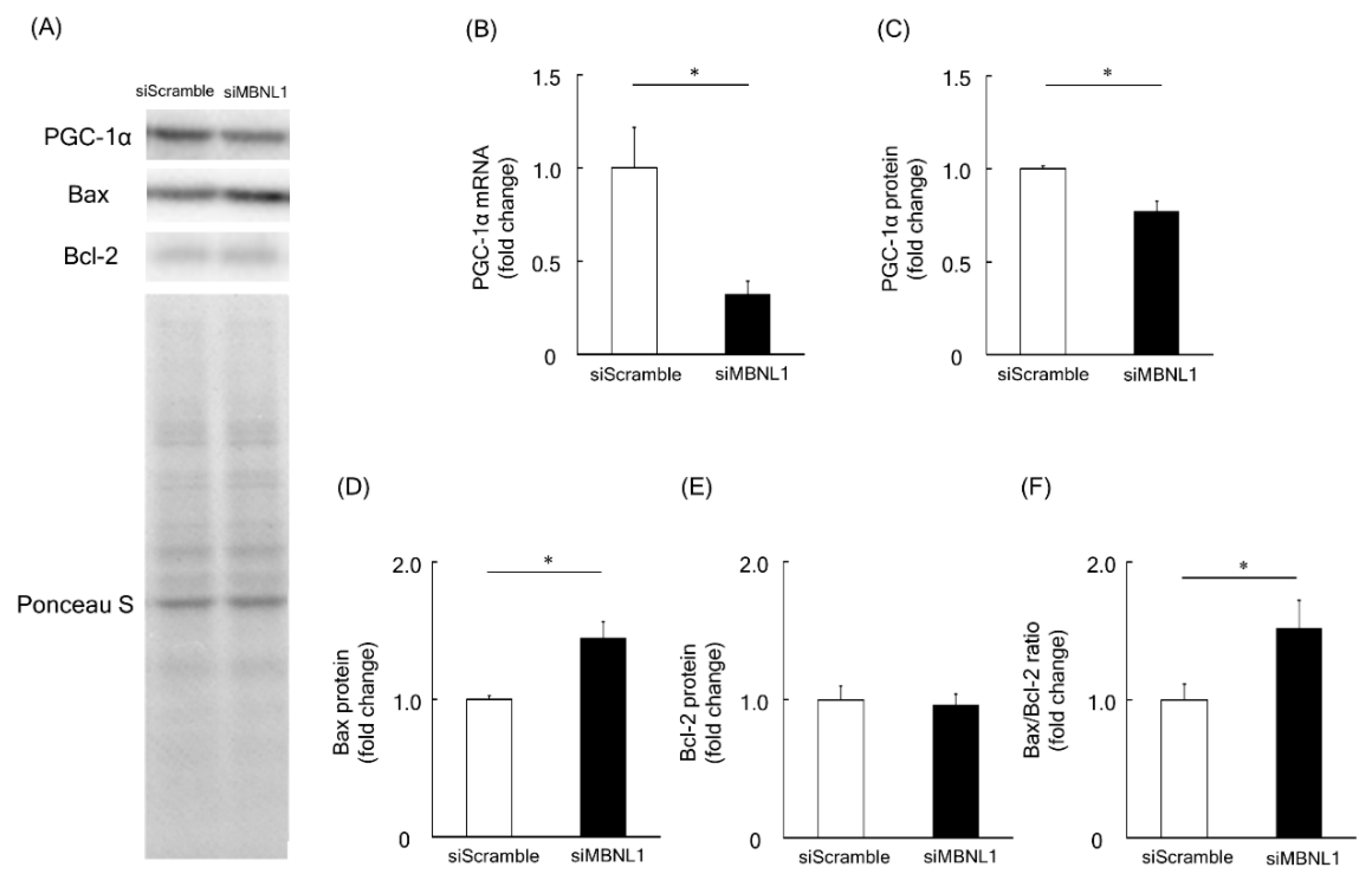 Ijms 21 06376 g004 Ijms 21 06376 g004