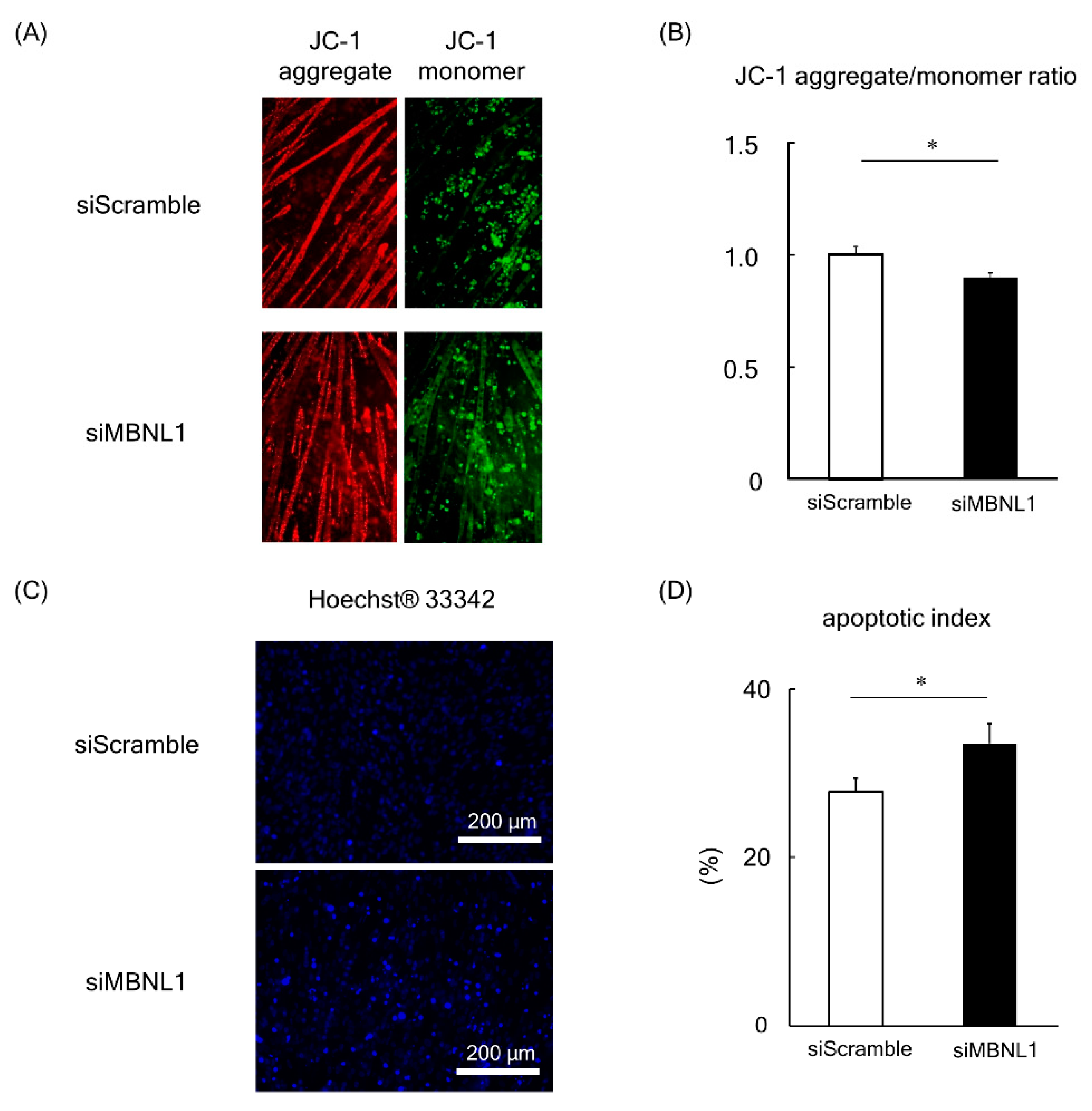 Ijms 21 06376 g005 Ijms 21 06376 g005