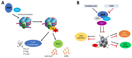 IJMS | Free Full-Text | Epigenetic Regulations of AhR in the Aspect of ...