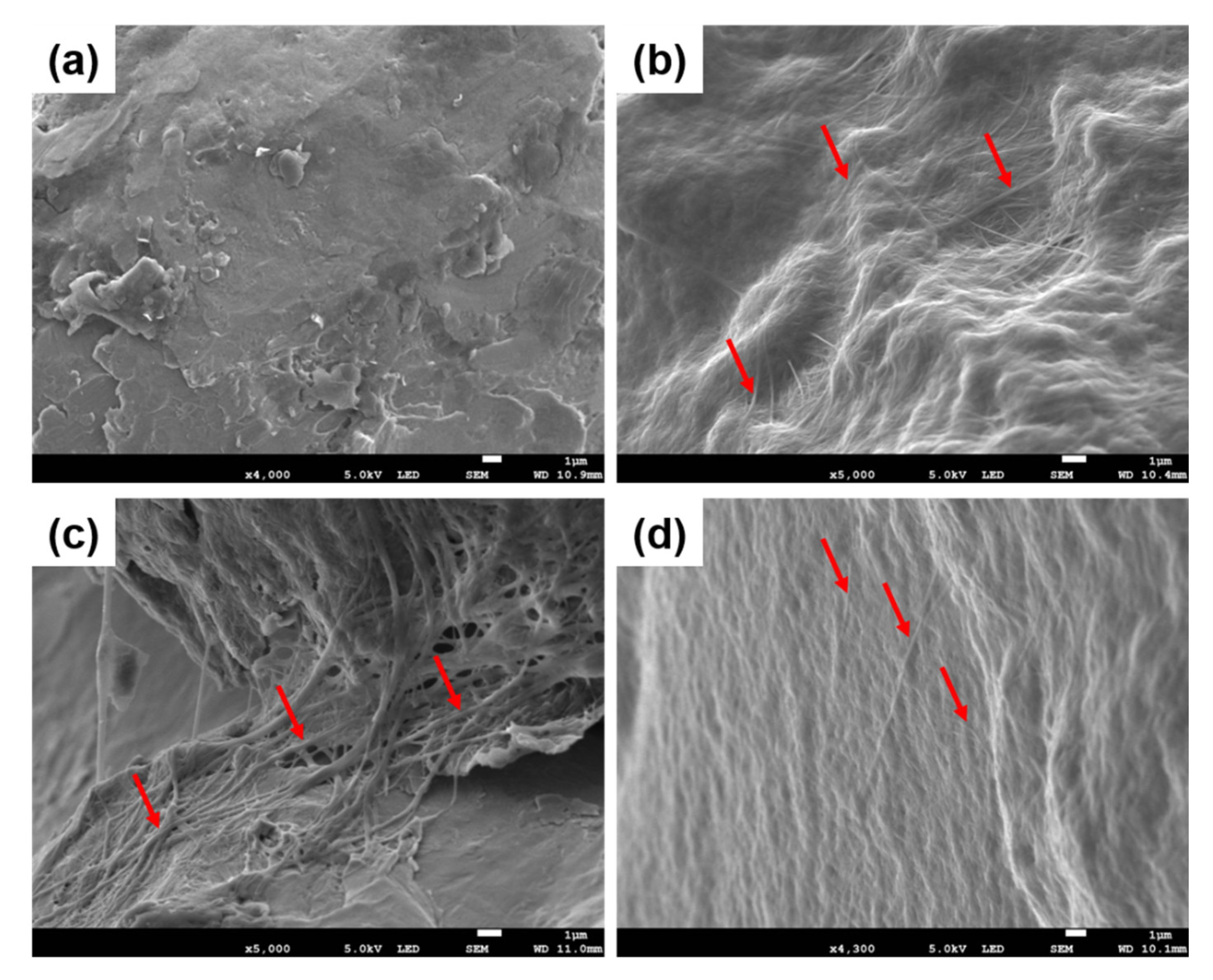 Ijms 21 06406 g002 Ijms 21 06406 g002