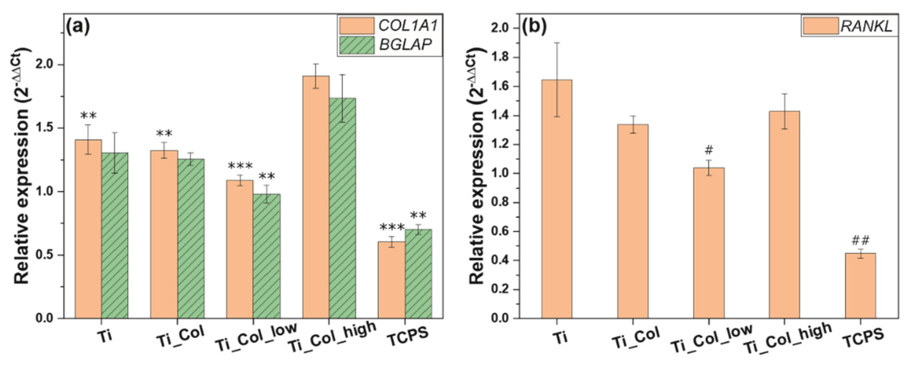 Ijms 21 06406 g004 Ijms 21 06406 g004