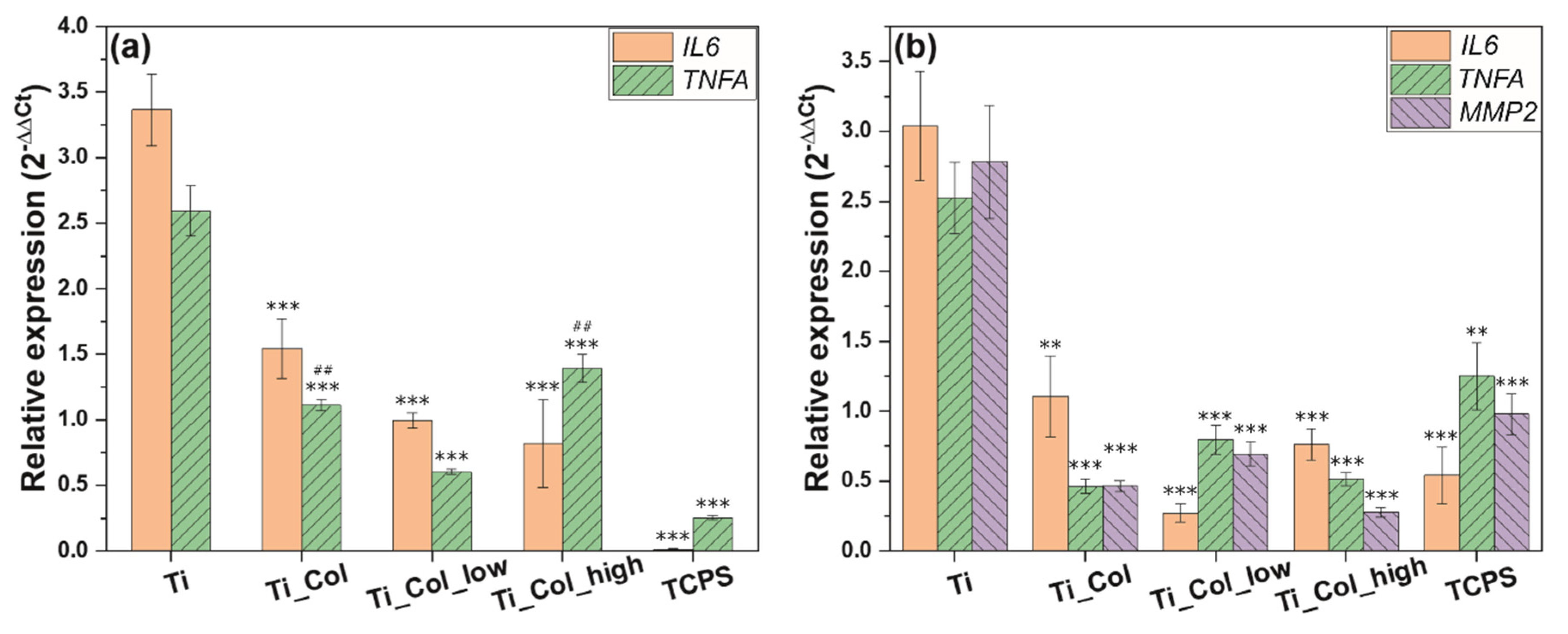 Ijms 21 06406 g005 Ijms 21 06406 g005