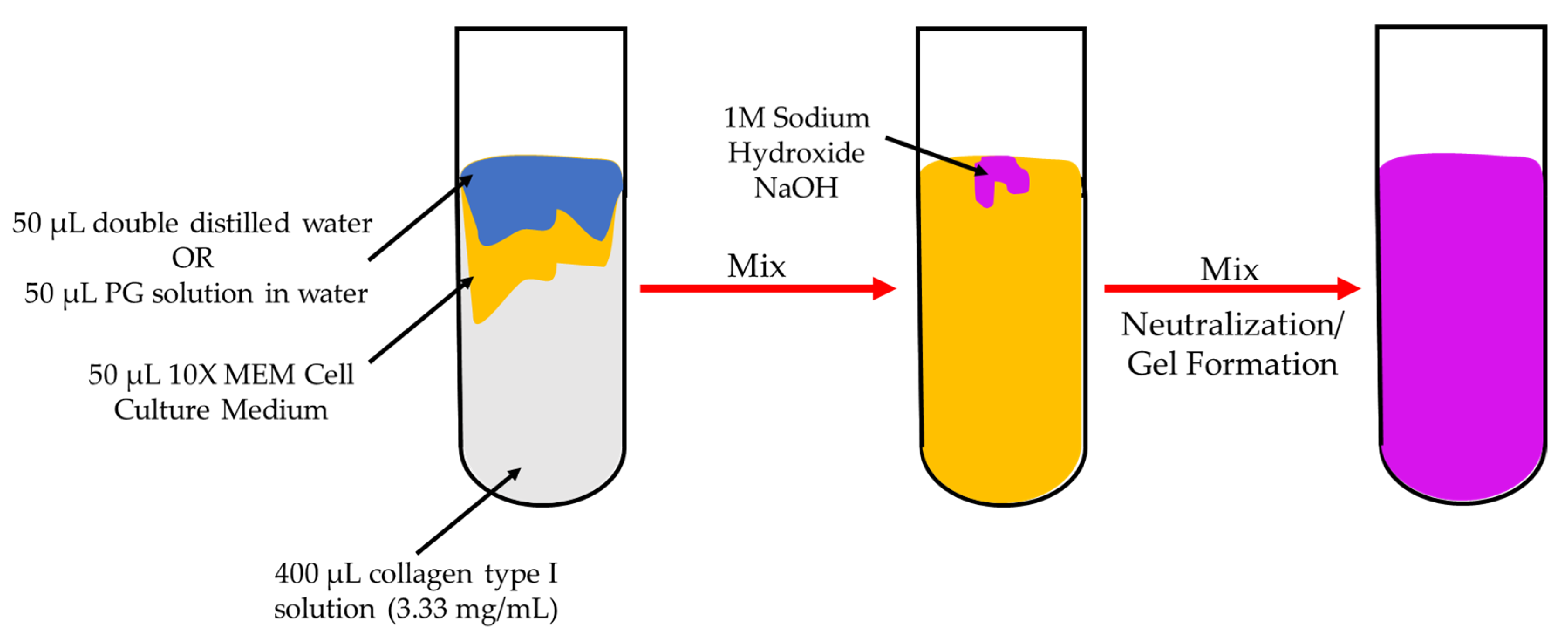 Ijms 21 06406 g007 Ijms 21 06406 g007