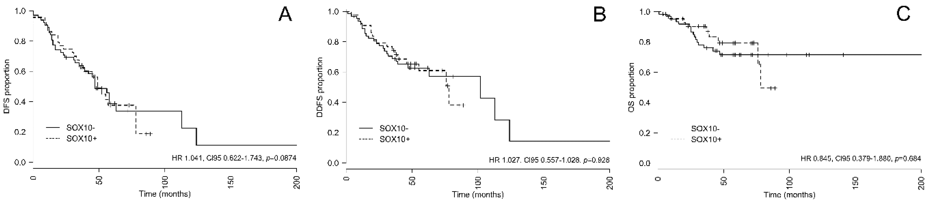 Ijms 21 06407 g002 Ijms 21 06407 g002