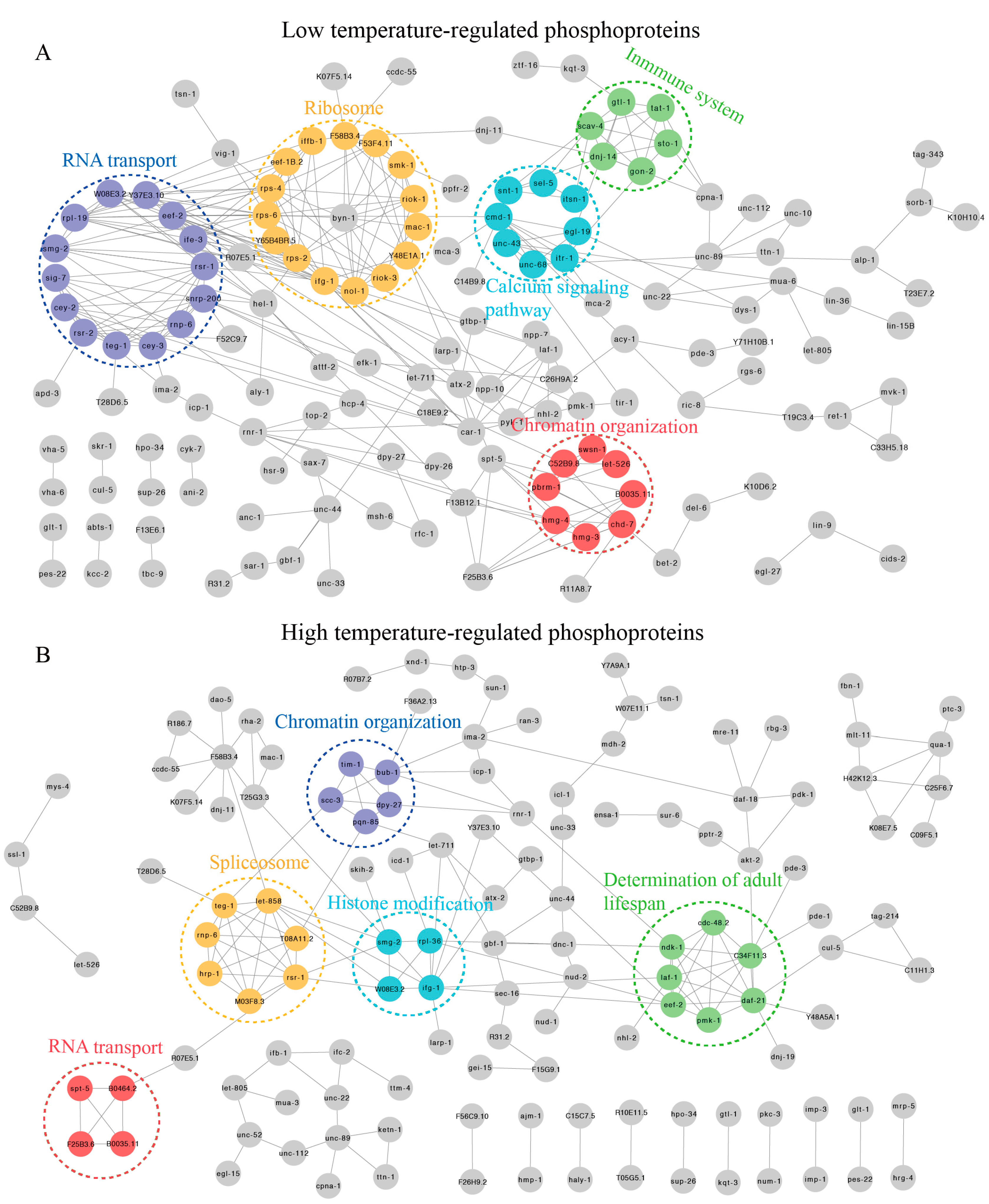 Ijms 21 06409 g004 Ijms 21 06409 g004