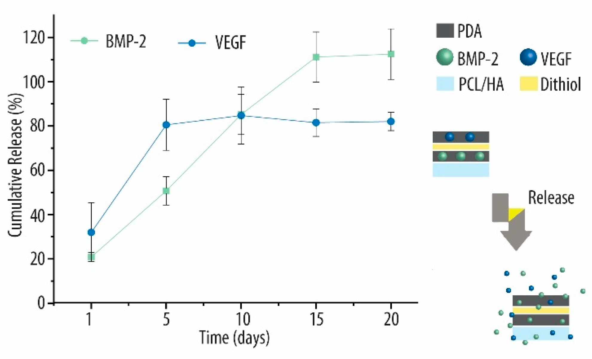 Ijms 21 06418 g002 Ijms 21 06418 g002