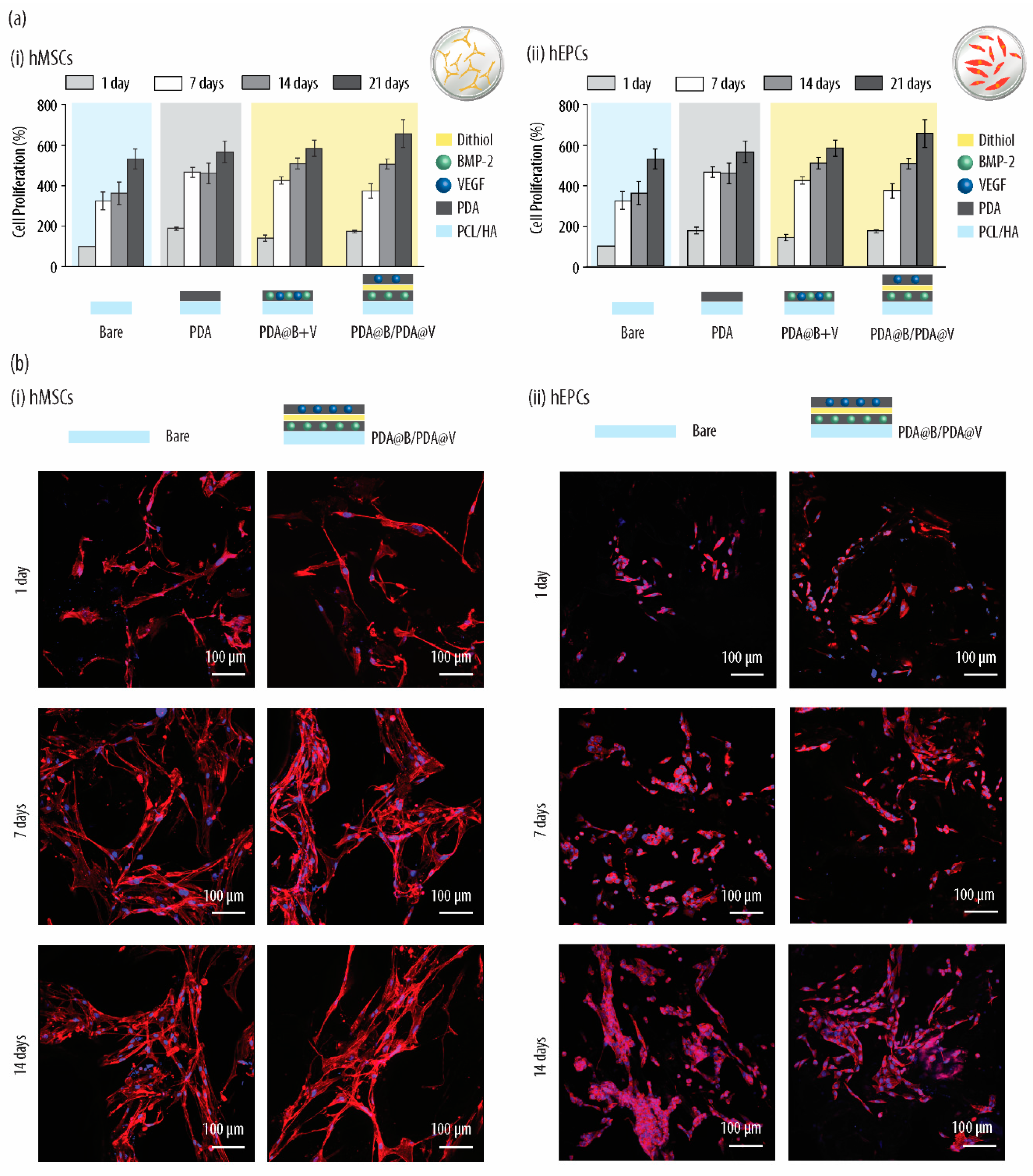 Ijms 21 06418 g003 Ijms 21 06418 g003