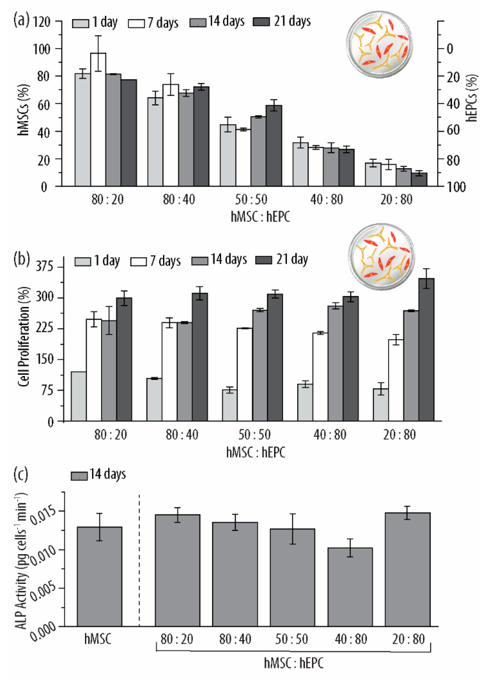 Ijms 21 06418 g005 Ijms 21 06418 g005