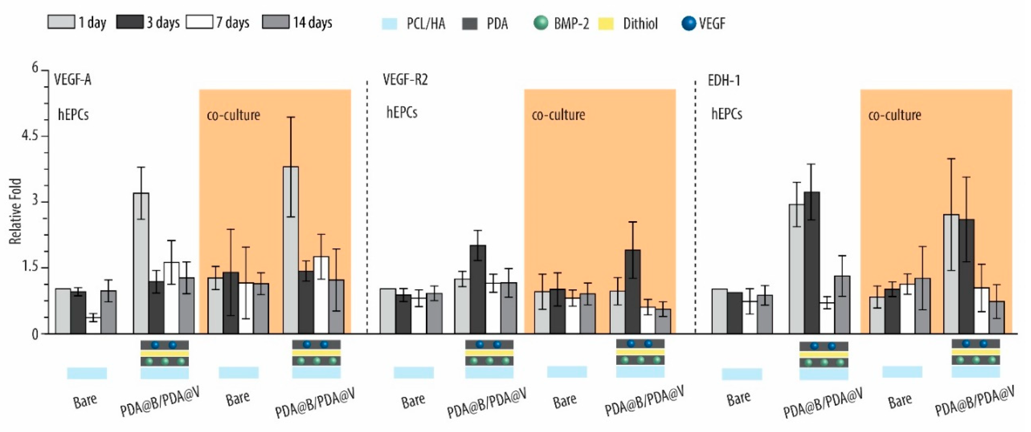 Ijms 21 06418 g008 Ijms 21 06418 g008