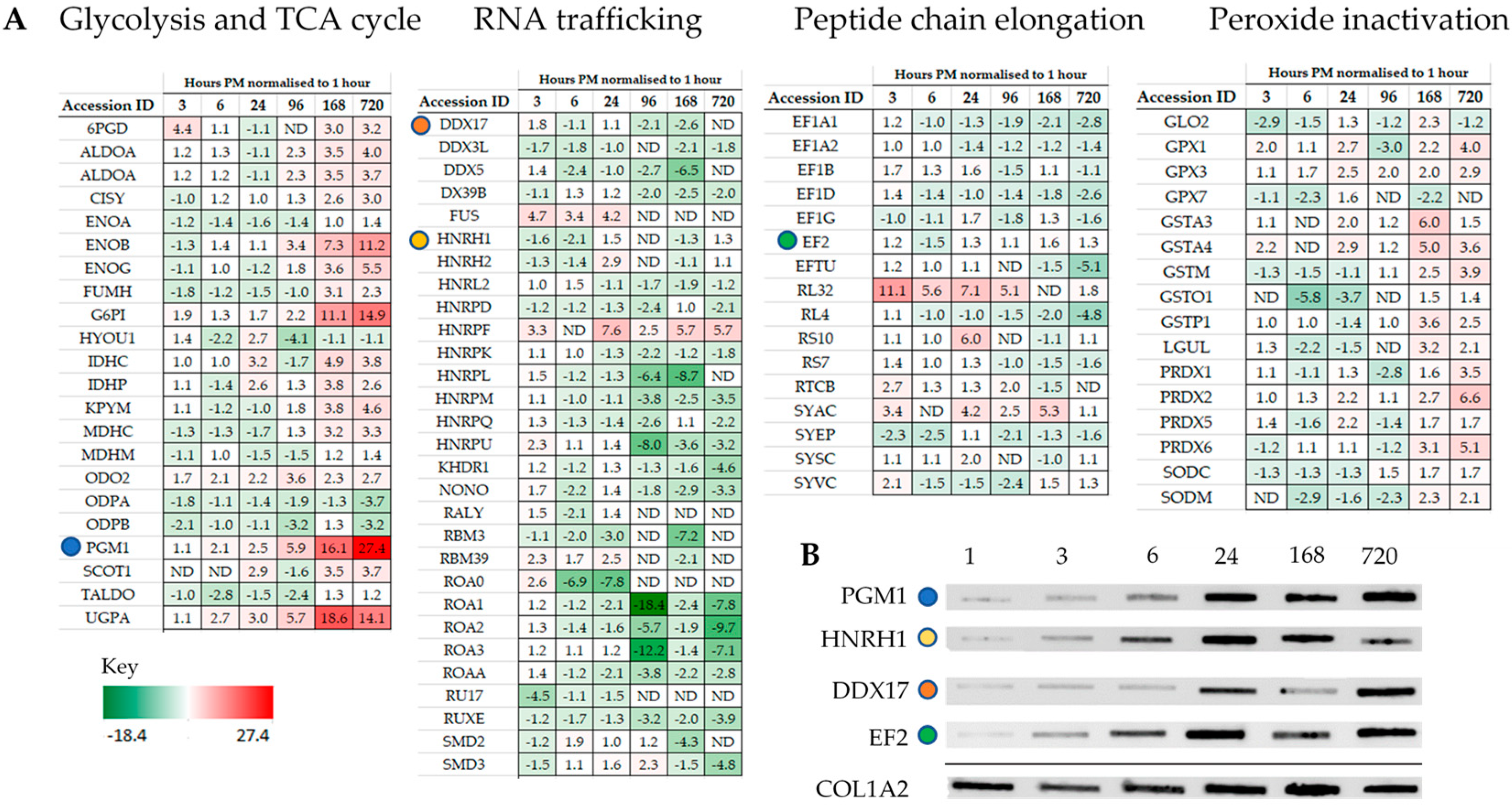Ijms 21 06422 g003 Ijms 21 06422 g003