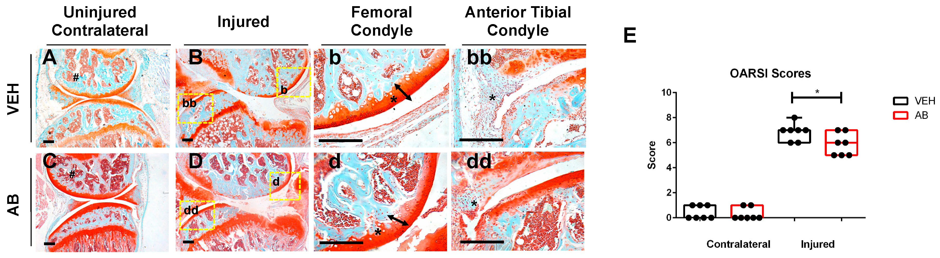 Ijms 21 06424 g001 Ijms 21 06424 g001