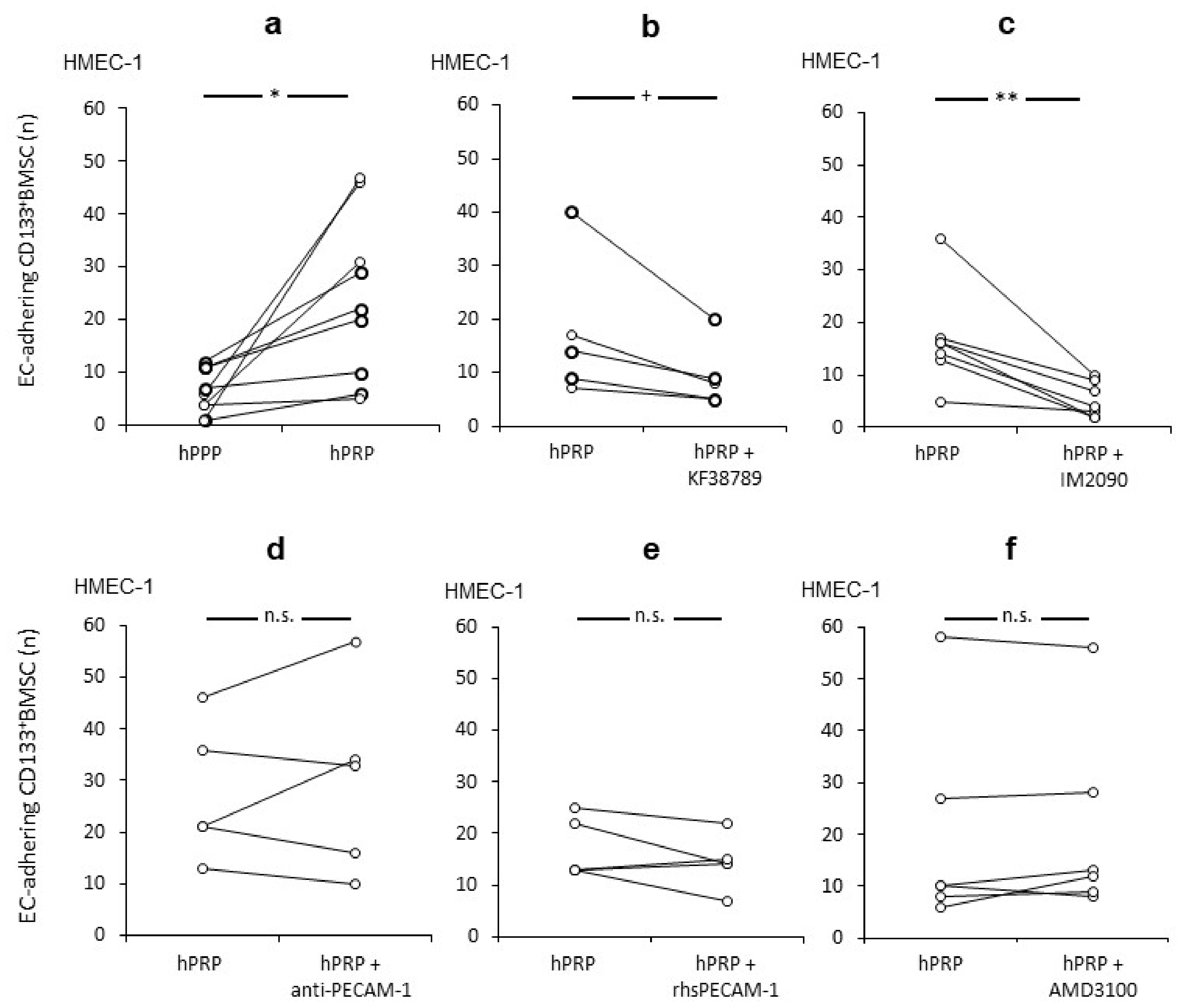 Ijms 21 06431 g001 Ijms 21 06431 g001