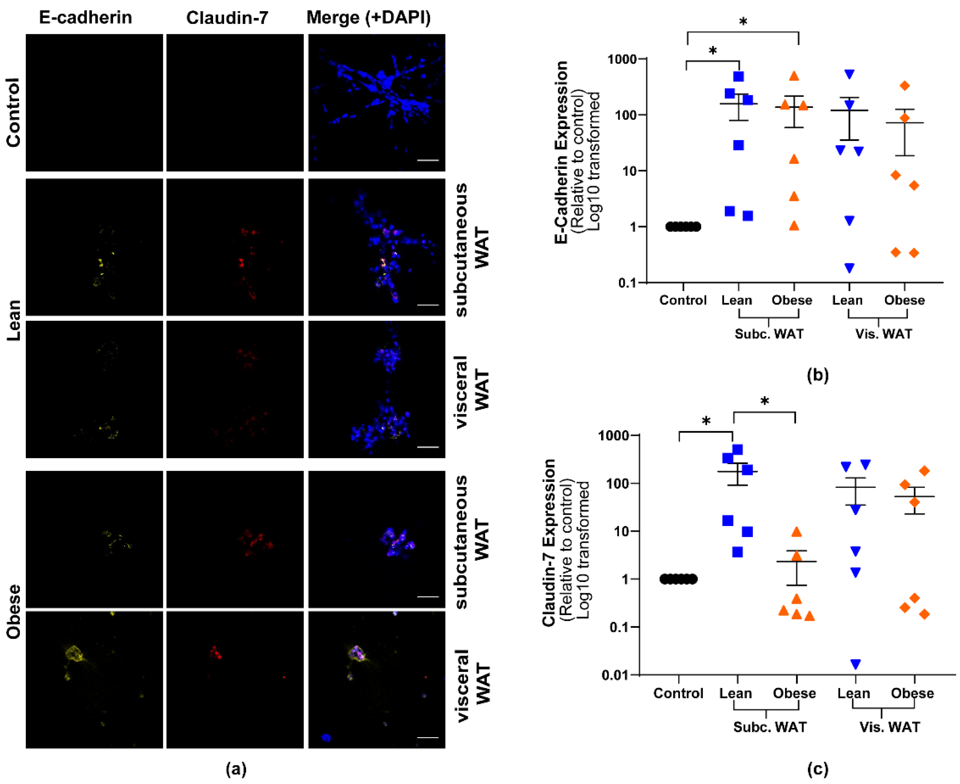 Ijms 21 06439 g003 Ijms 21 06439 g003