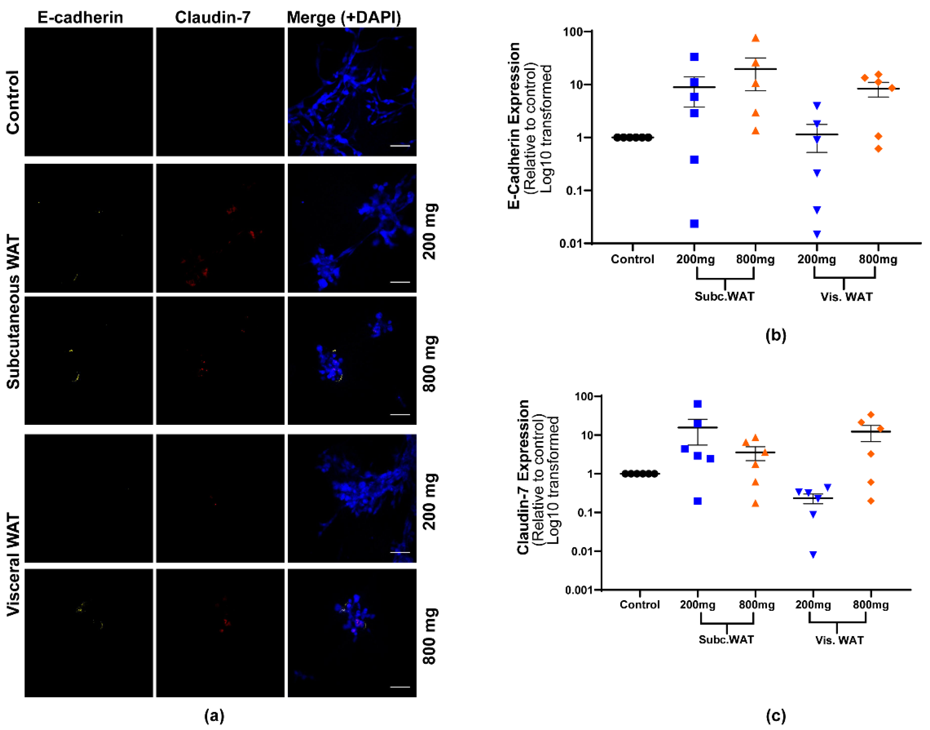 Ijms 21 06439 g006 Ijms 21 06439 g006
