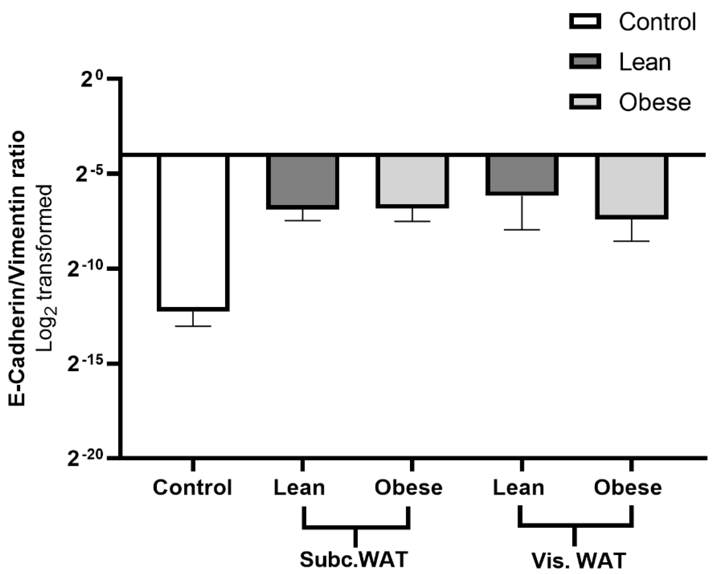 Ijms 21 06439 g007 Ijms 21 06439 g007