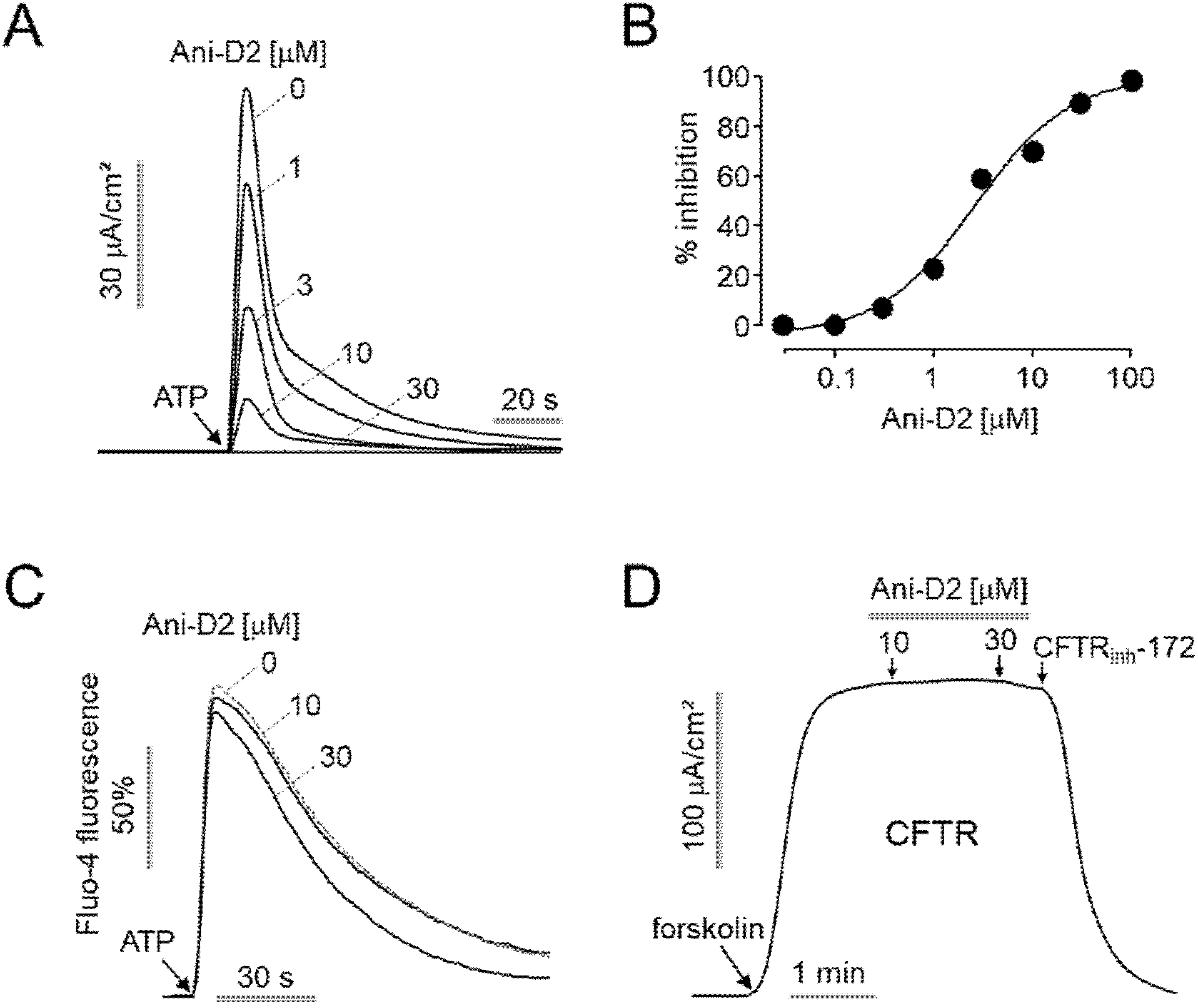 Ijms 21 06470 g004 Ijms 21 06470 g004