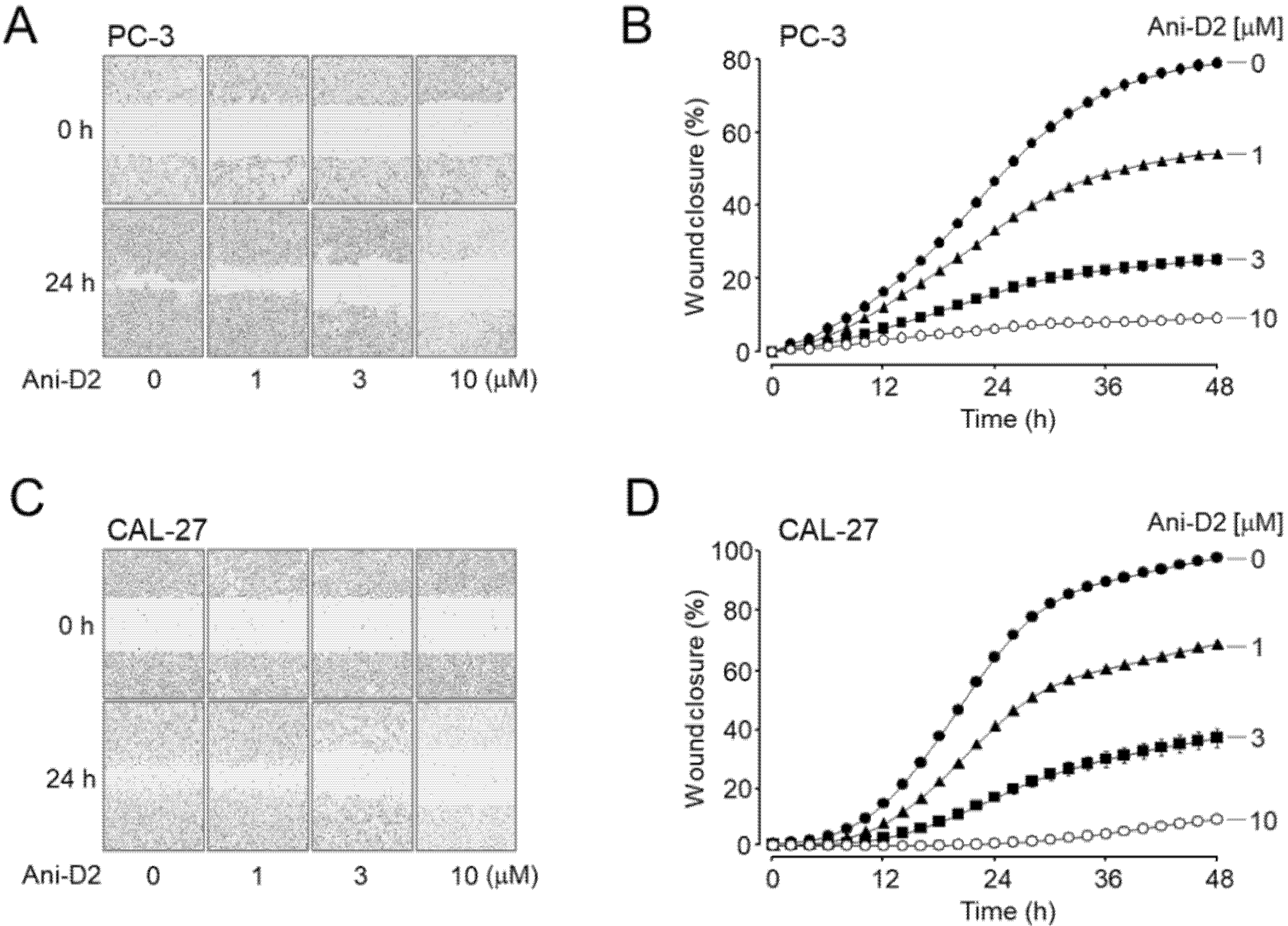 Ijms 21 06470 g006 Ijms 21 06470 g006