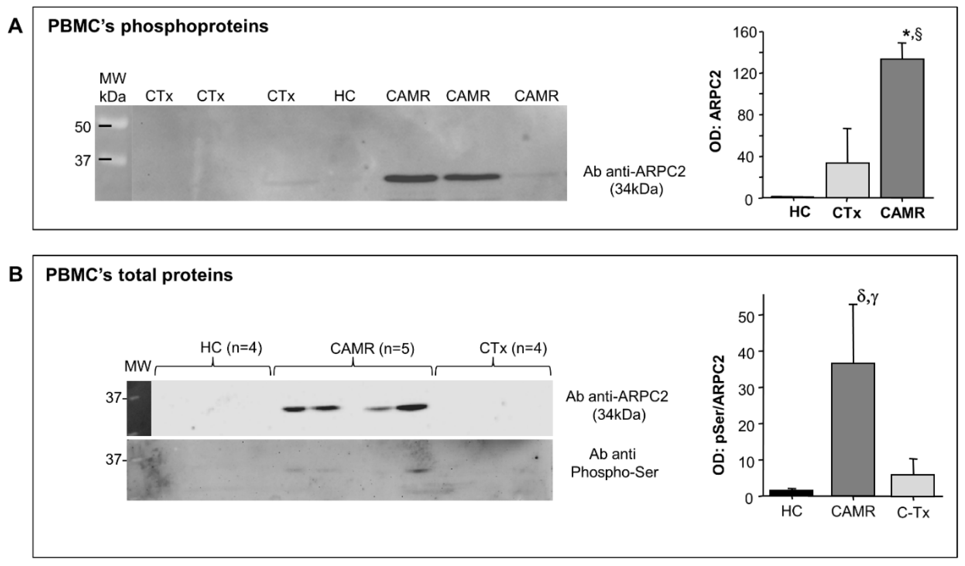 Ijms 21 06509 g002 Ijms 21 06509 g002